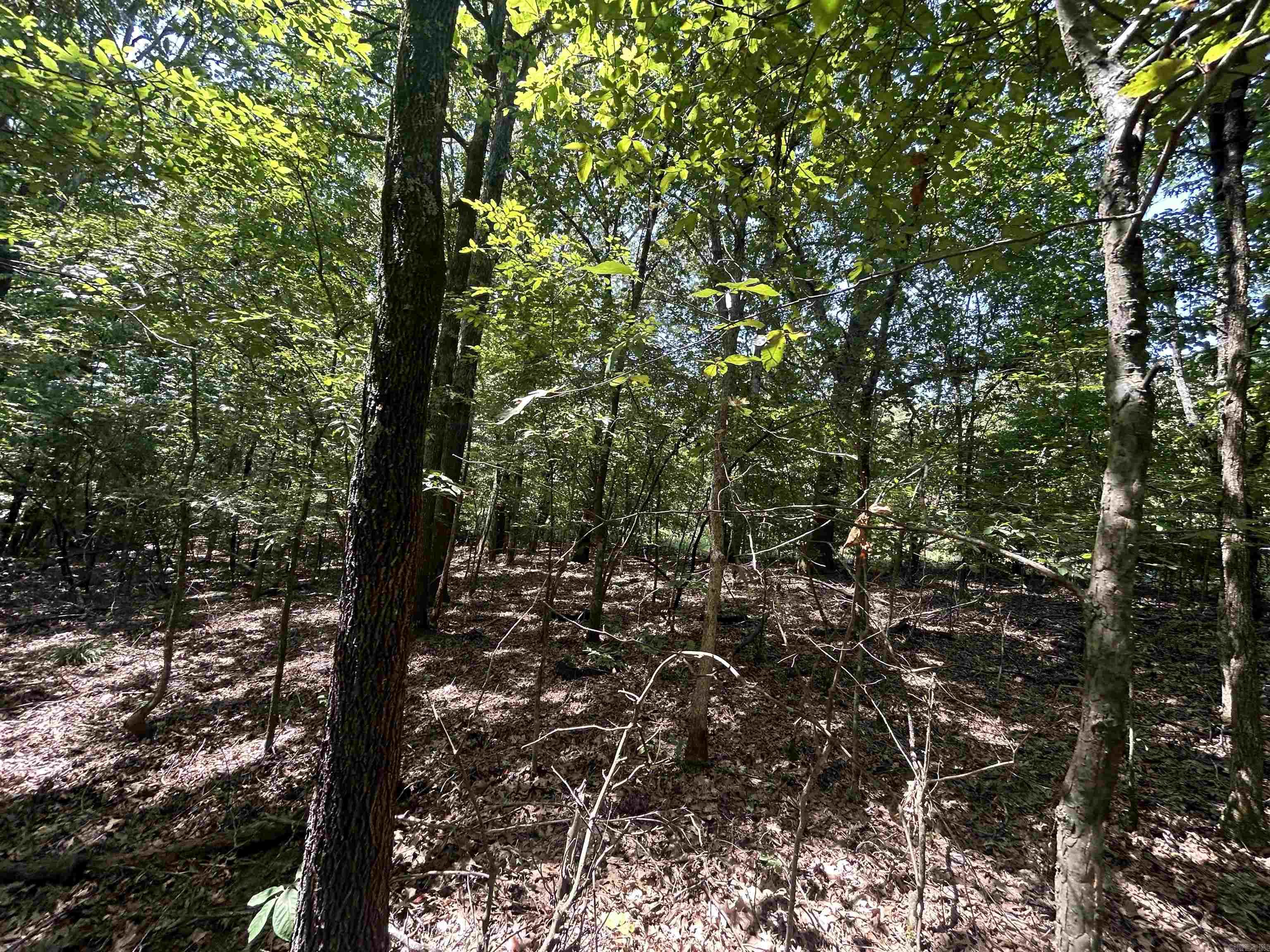  Cr 325  Pleasant Hope, AR