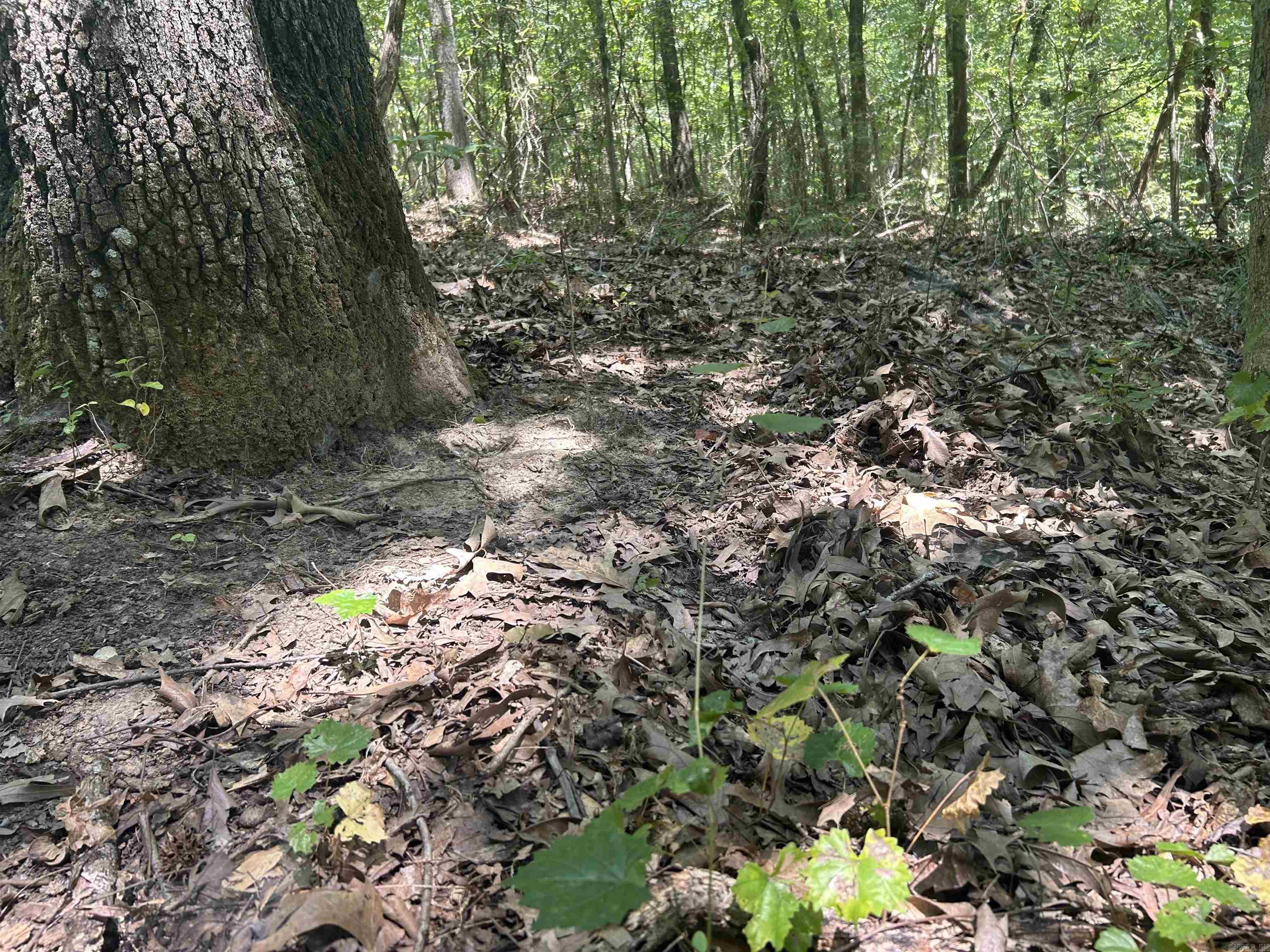  Cr 325  Pleasant Hope, AR