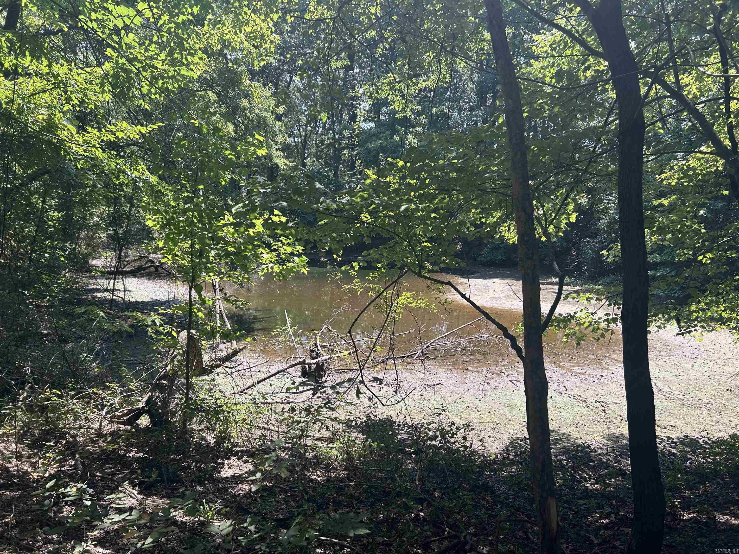  Cr 325  Pleasant Hope, AR