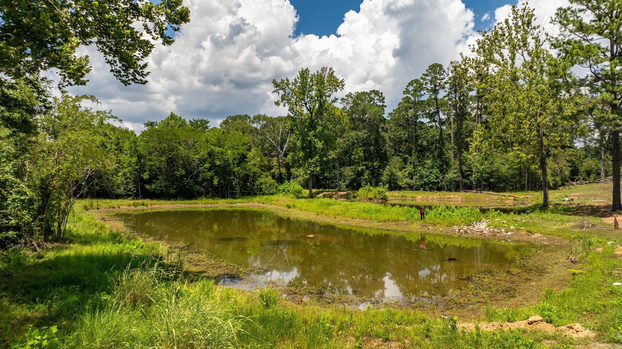 6809 Rudolph Road Alexander, AR 72002