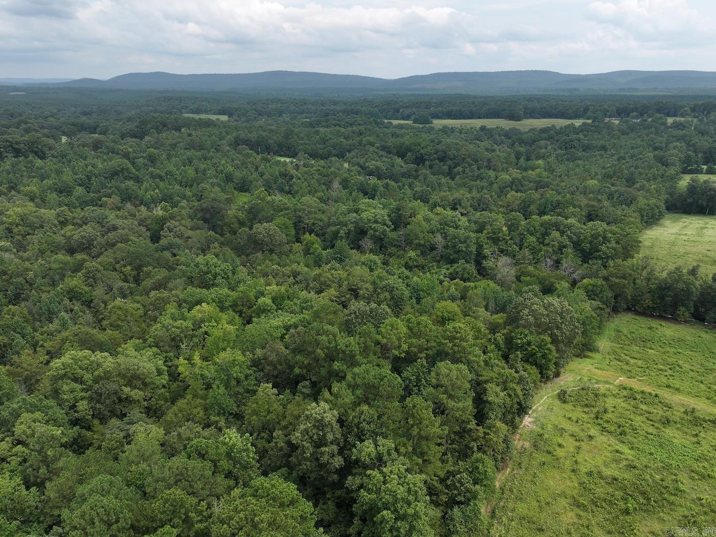 526 EBENEZER  Amity, AR