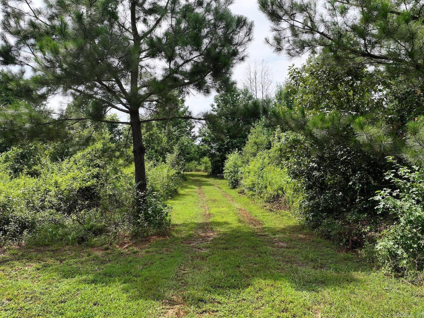 526 EBENEZER  Amity, AR