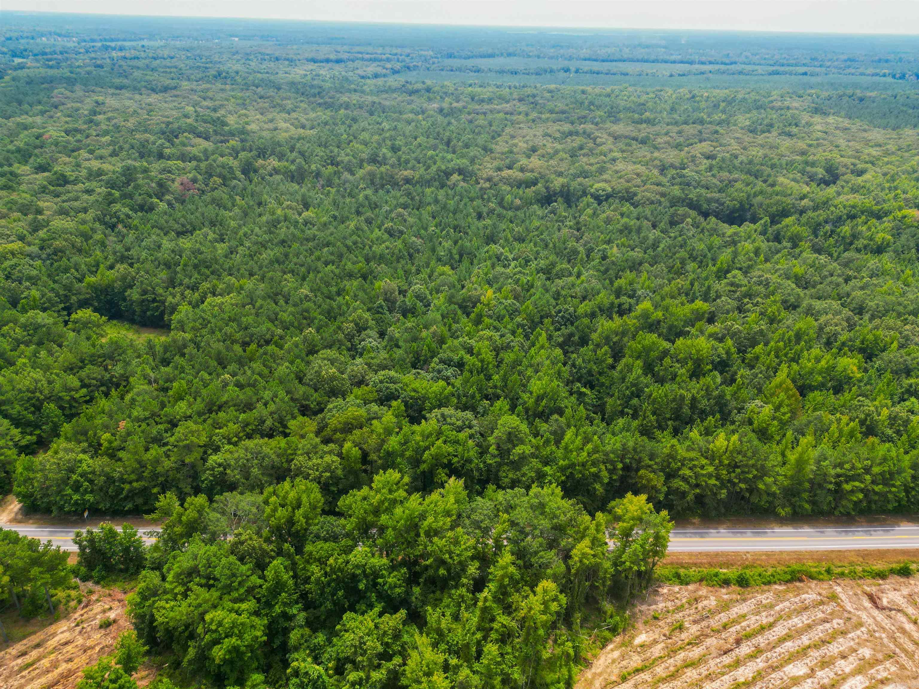  Highway 278  Monticello, AR