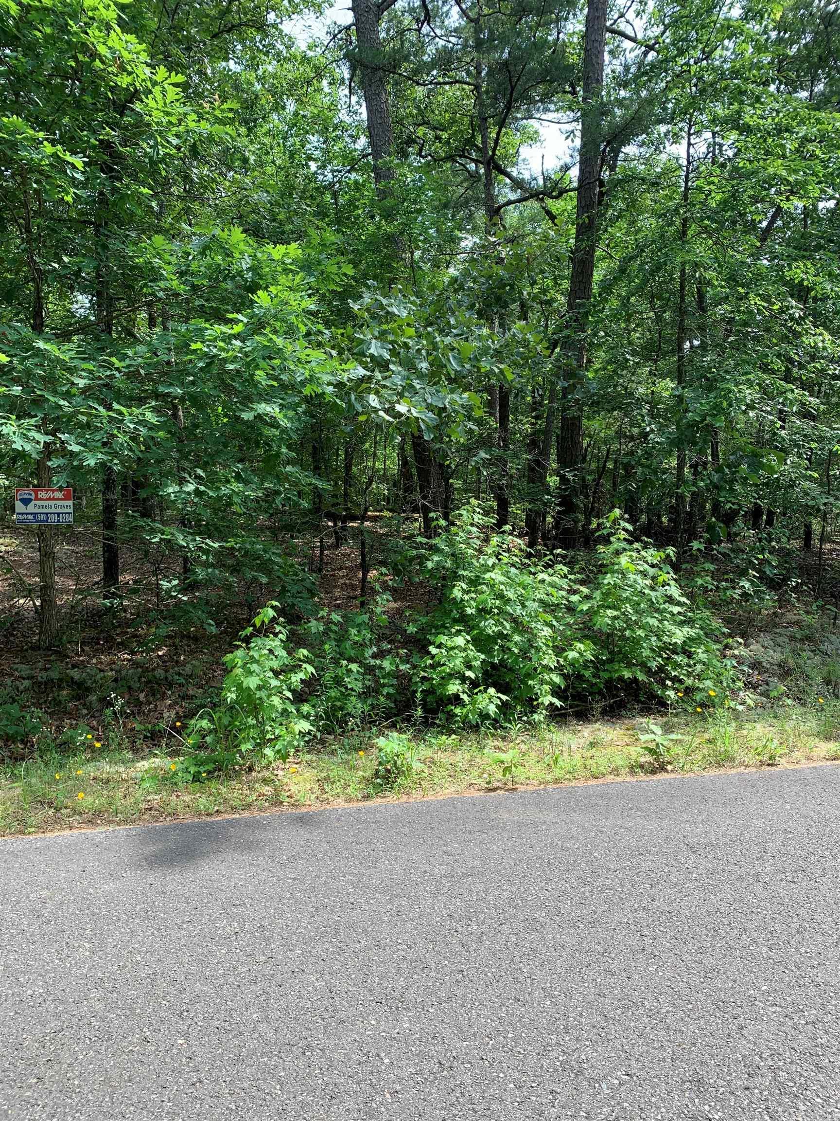 30 Alava  Hot Springs Village, AR