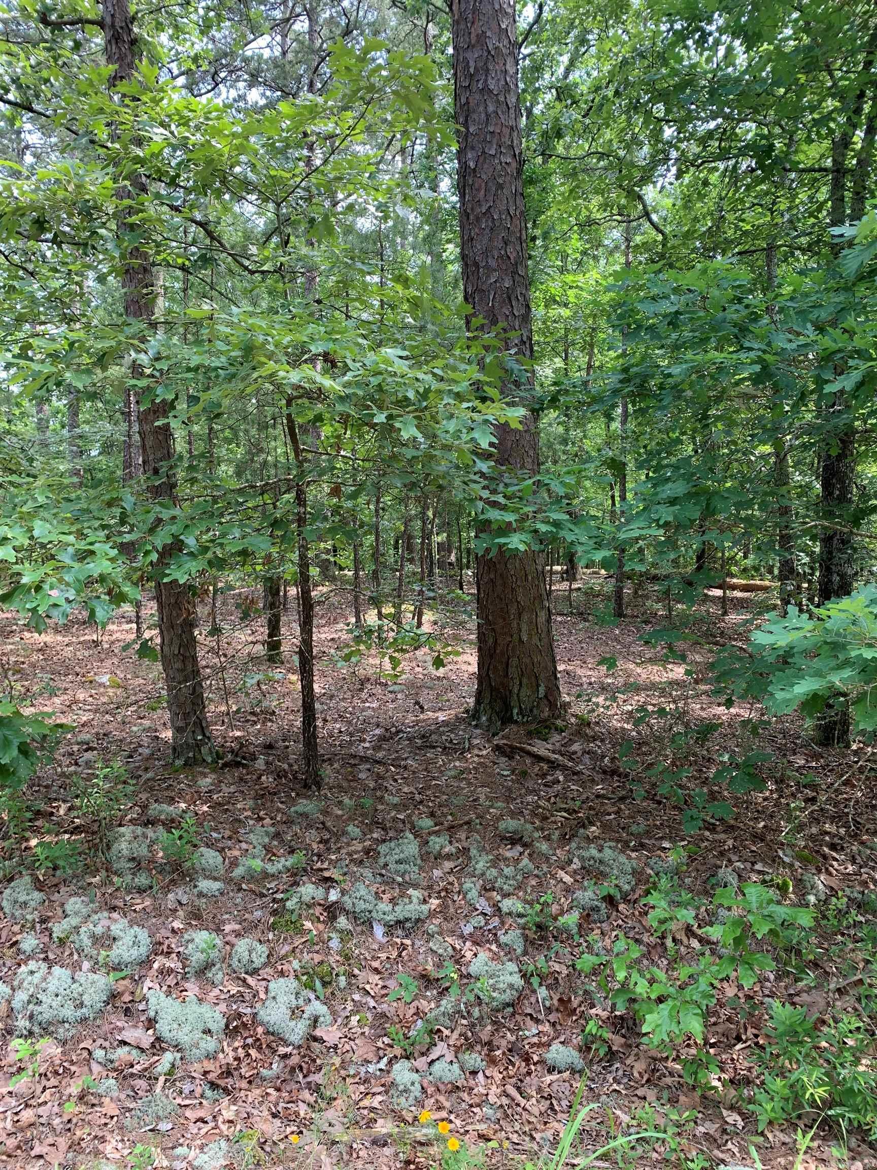 30 Alava  Hot Springs Village, AR