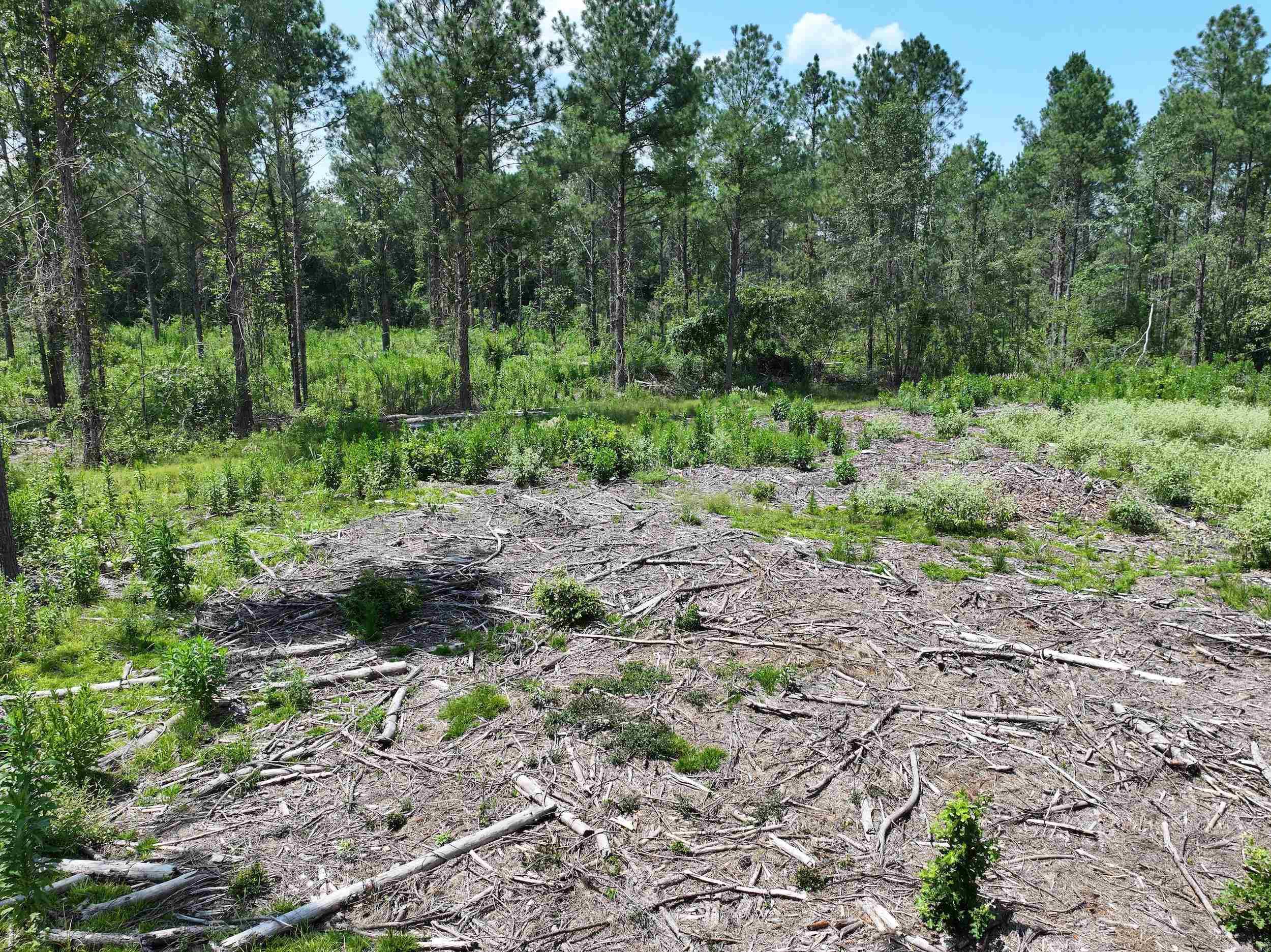 TBD KADOHA  Murfreesboro, AR