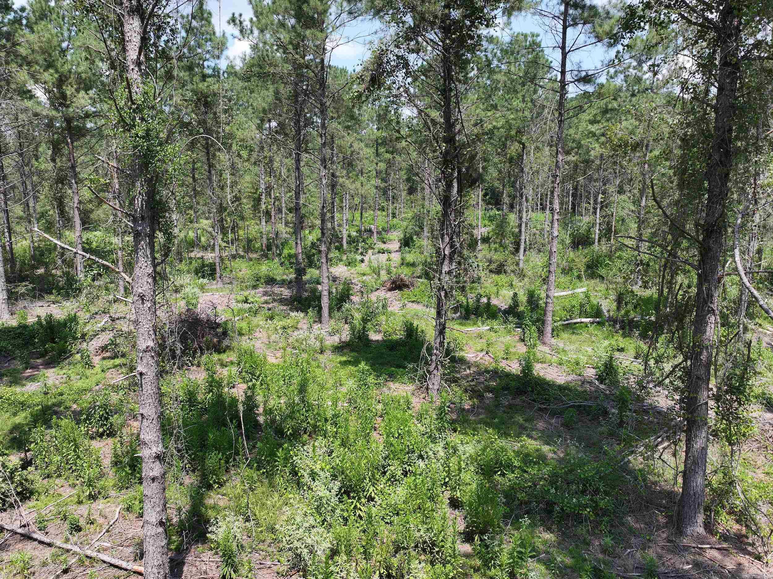 TBD KADOHA  Murfreesboro, AR