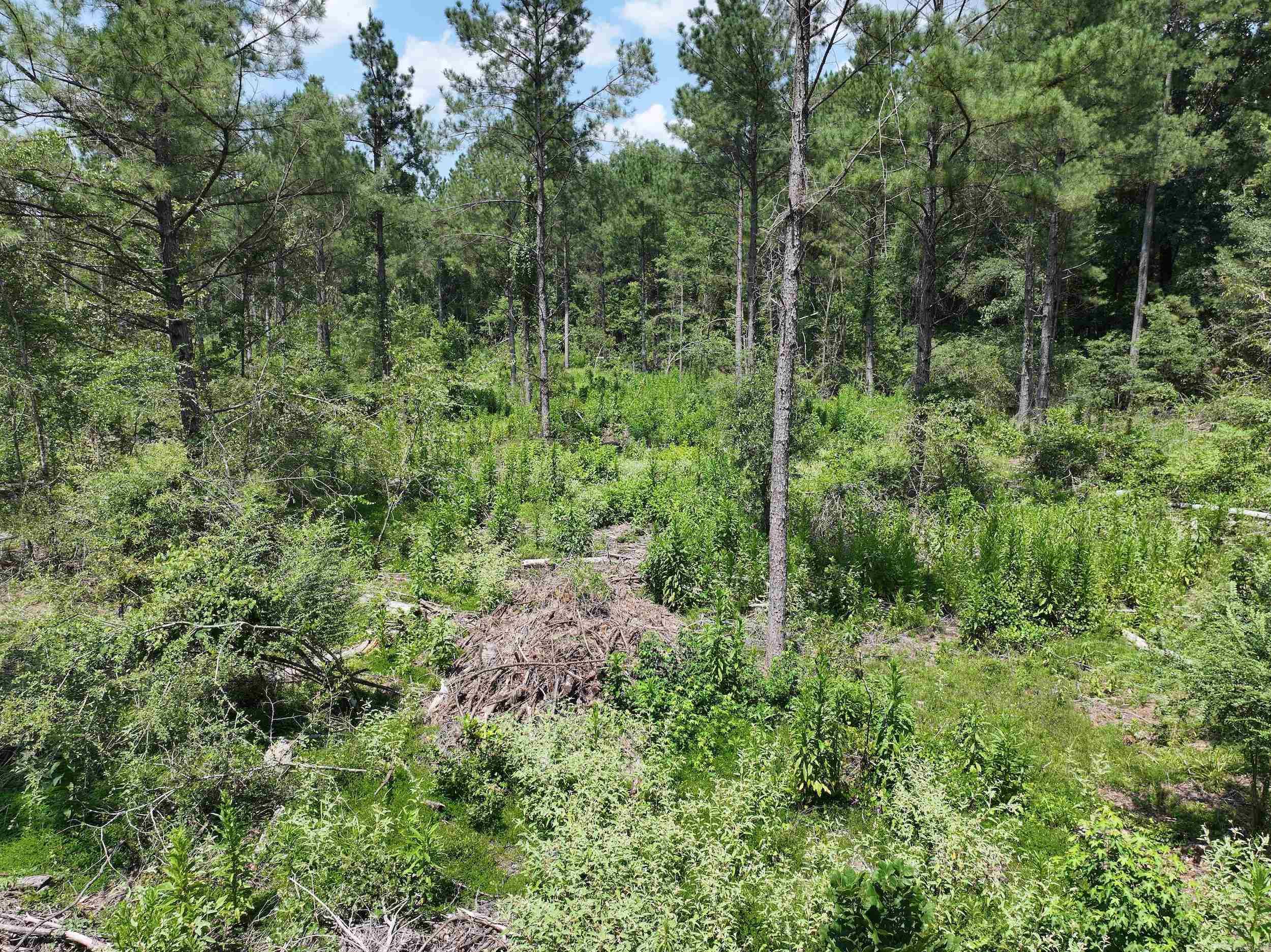 TBD KADOHA  Murfreesboro, AR