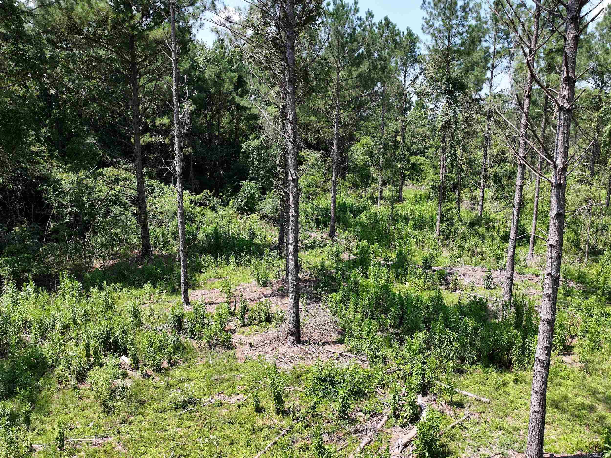 TBD KADOHA  Murfreesboro, AR