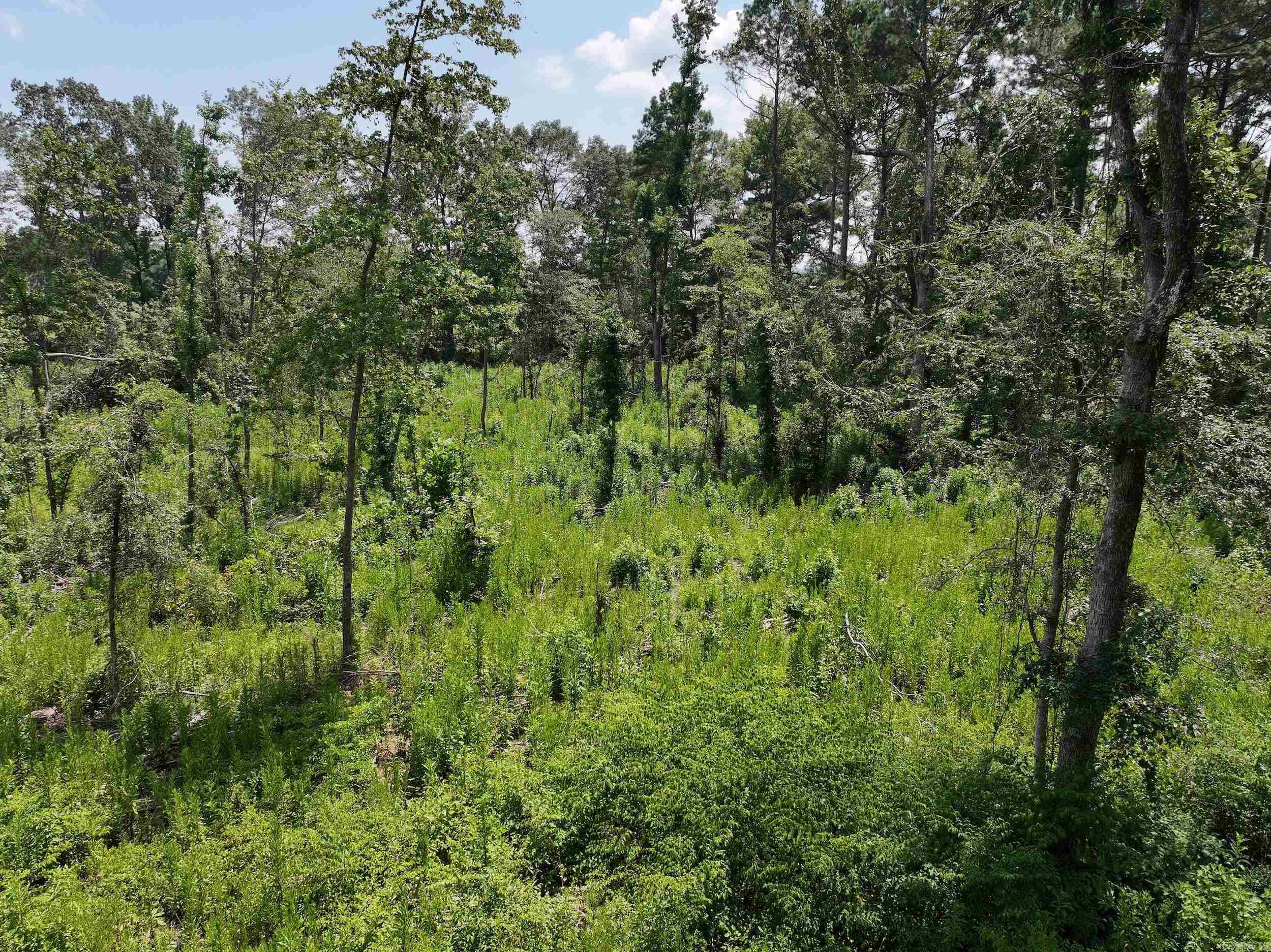 TBD KADOHA  Murfreesboro, AR