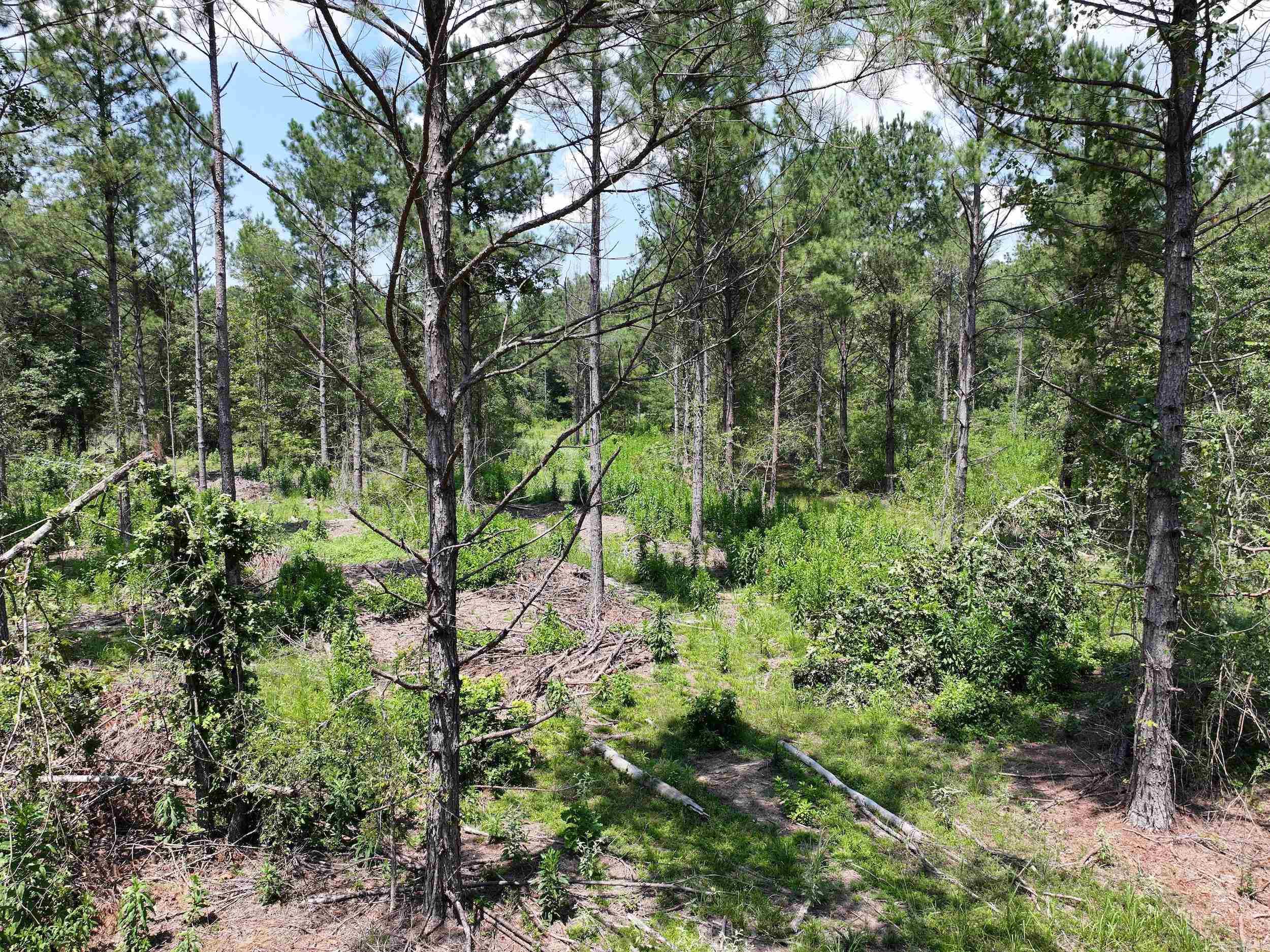 TBD KADOHA  Murfreesboro, AR