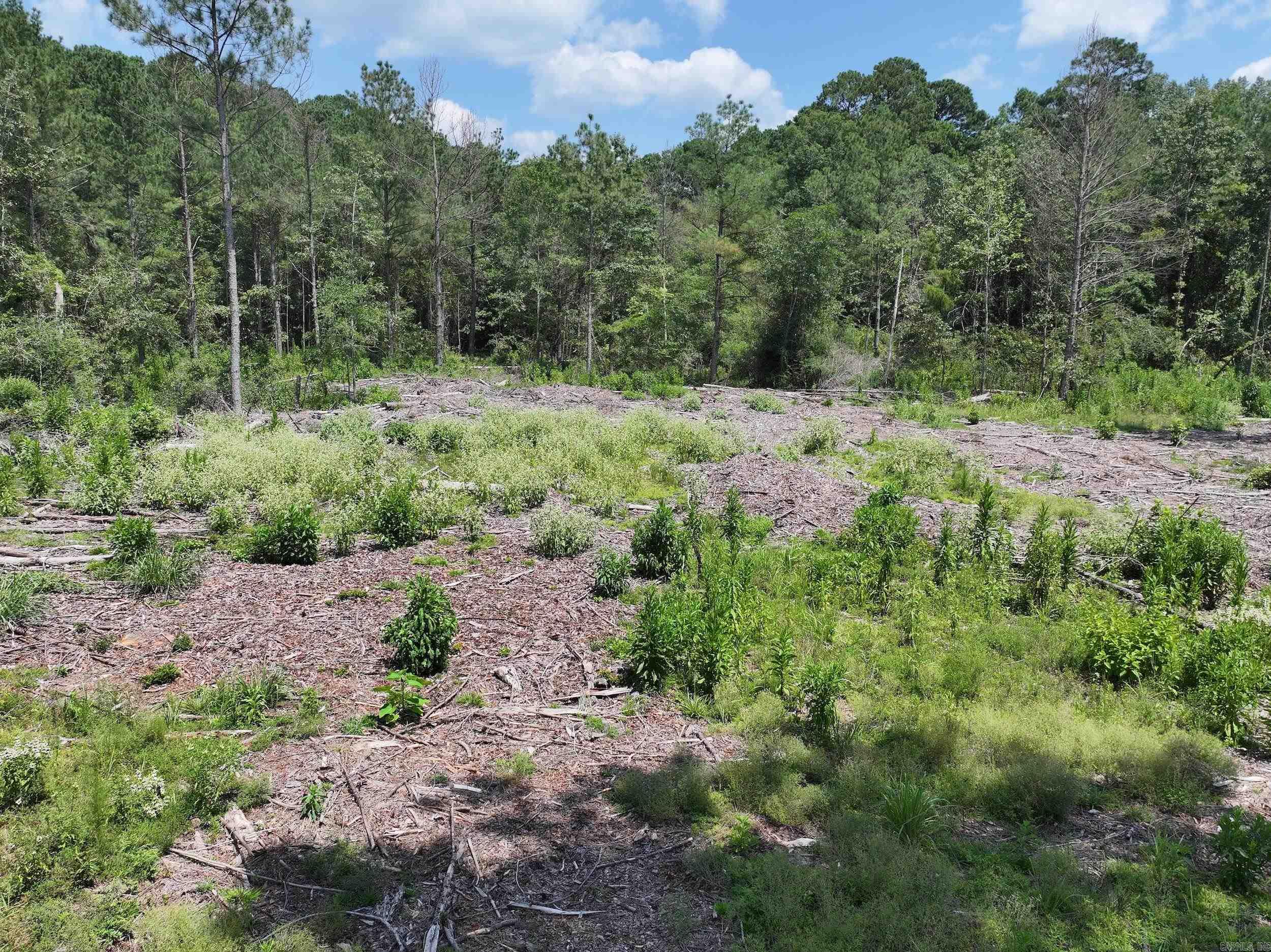 TBD KADOHA  Murfreesboro, AR