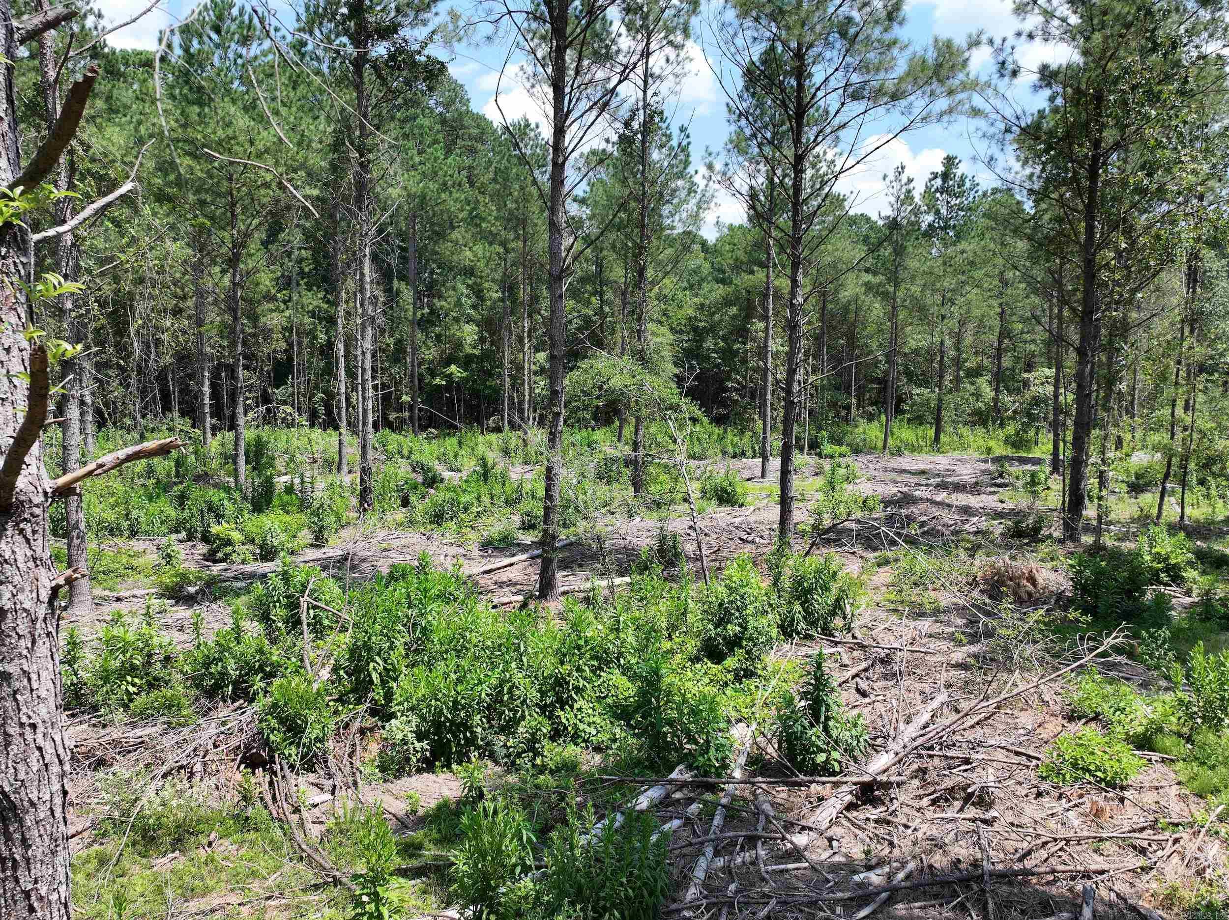 TBD KADOHA  Murfreesboro, AR