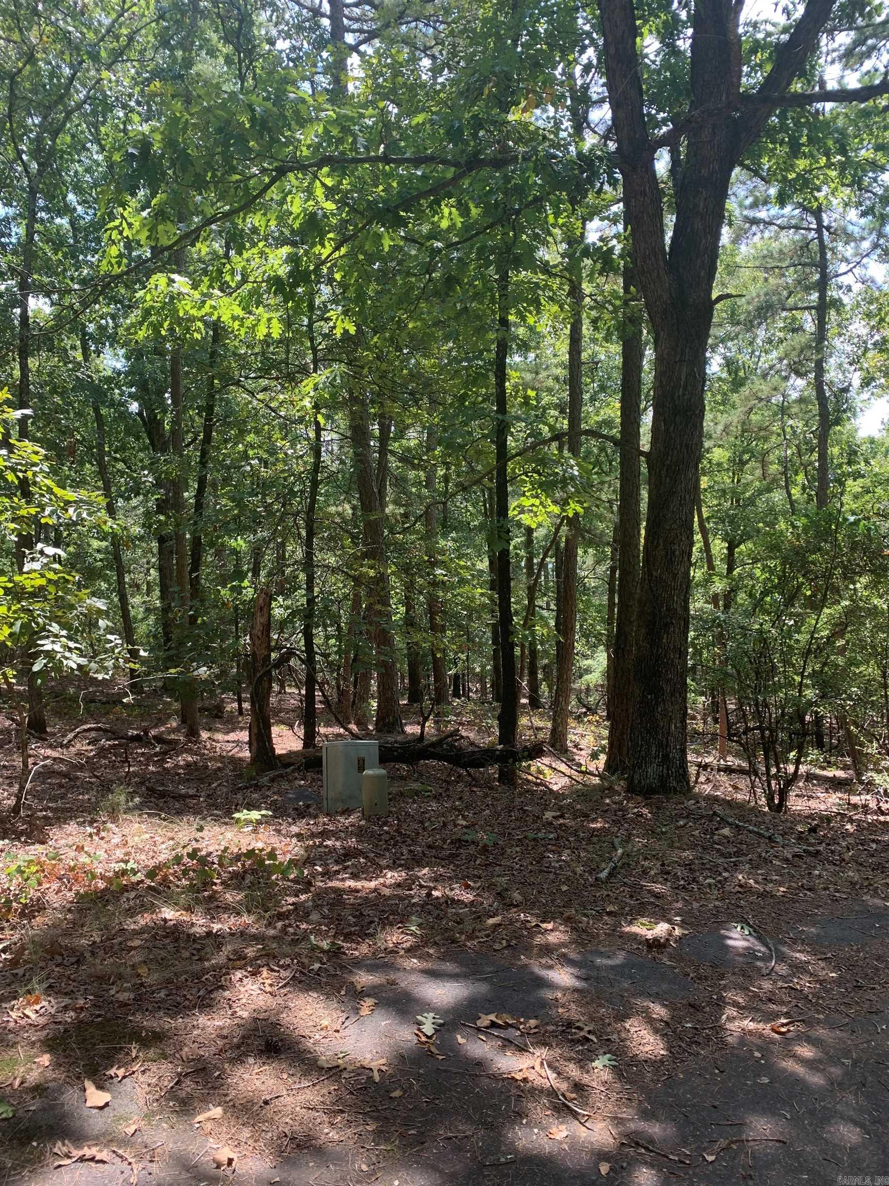 8 La Robla Ln  Hot Springs Village, AR