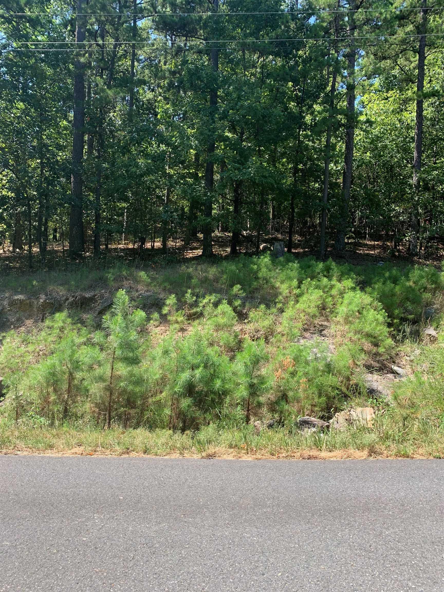 39 Viajero Dr  Hot Springs Village, AR