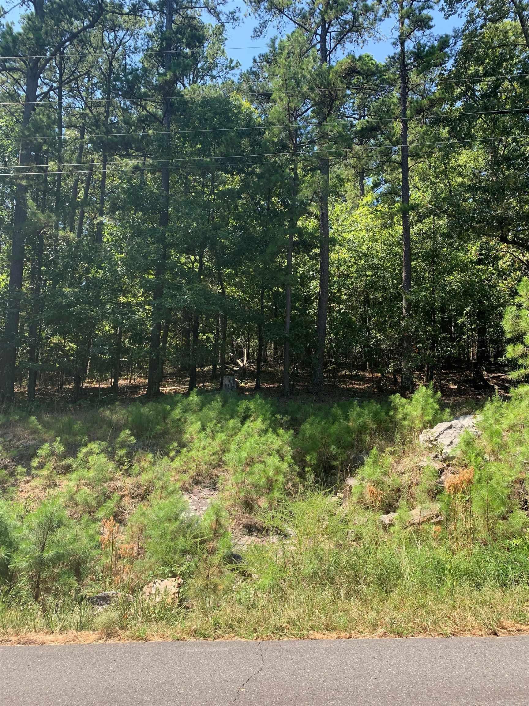 39 Viajero Dr  Hot Springs Village, AR