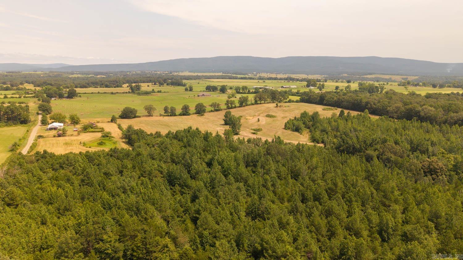 1 Cannaday Flat Road  Hector, AR