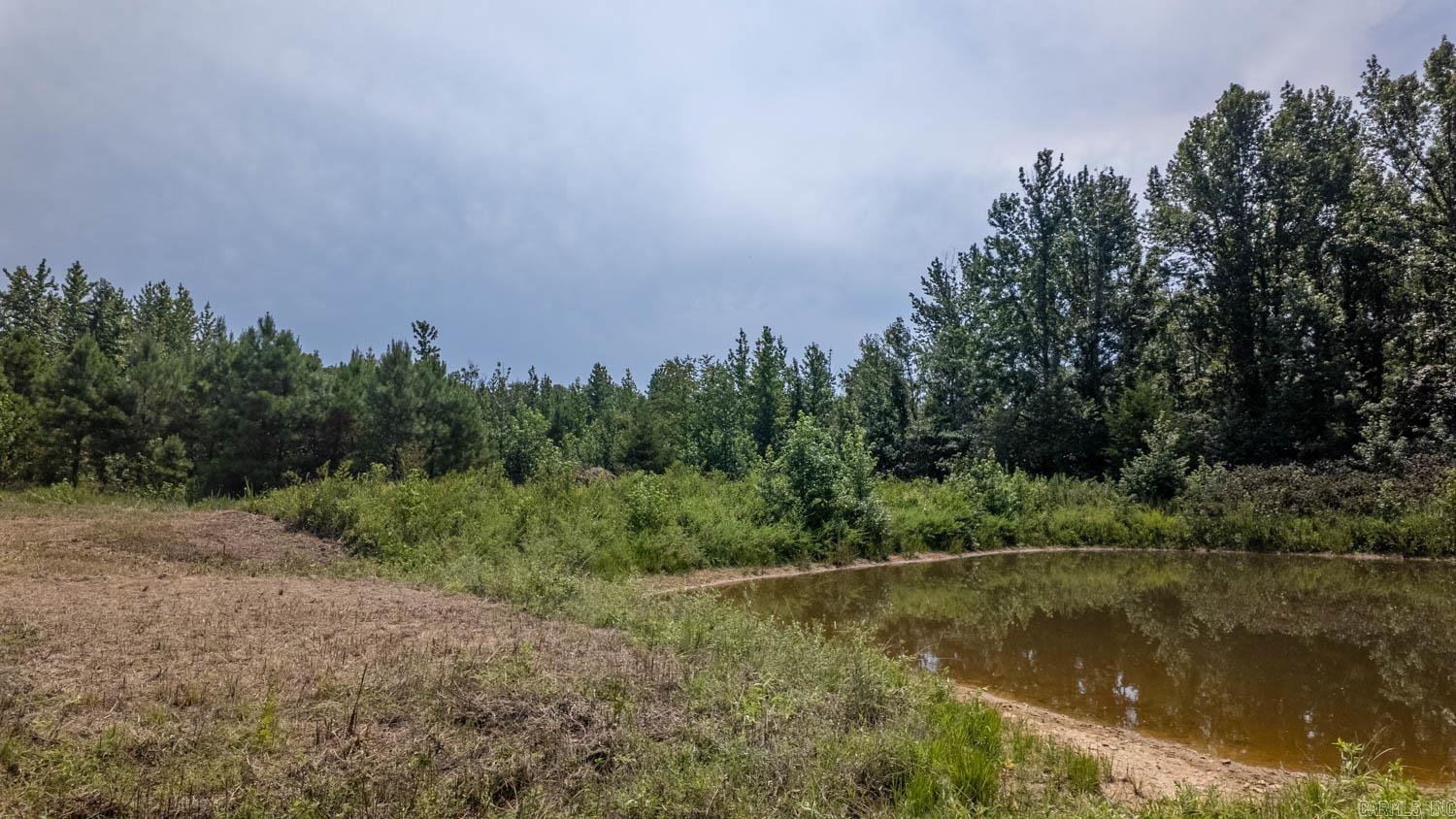 2 Cannaday Flat Road  Hector, AR