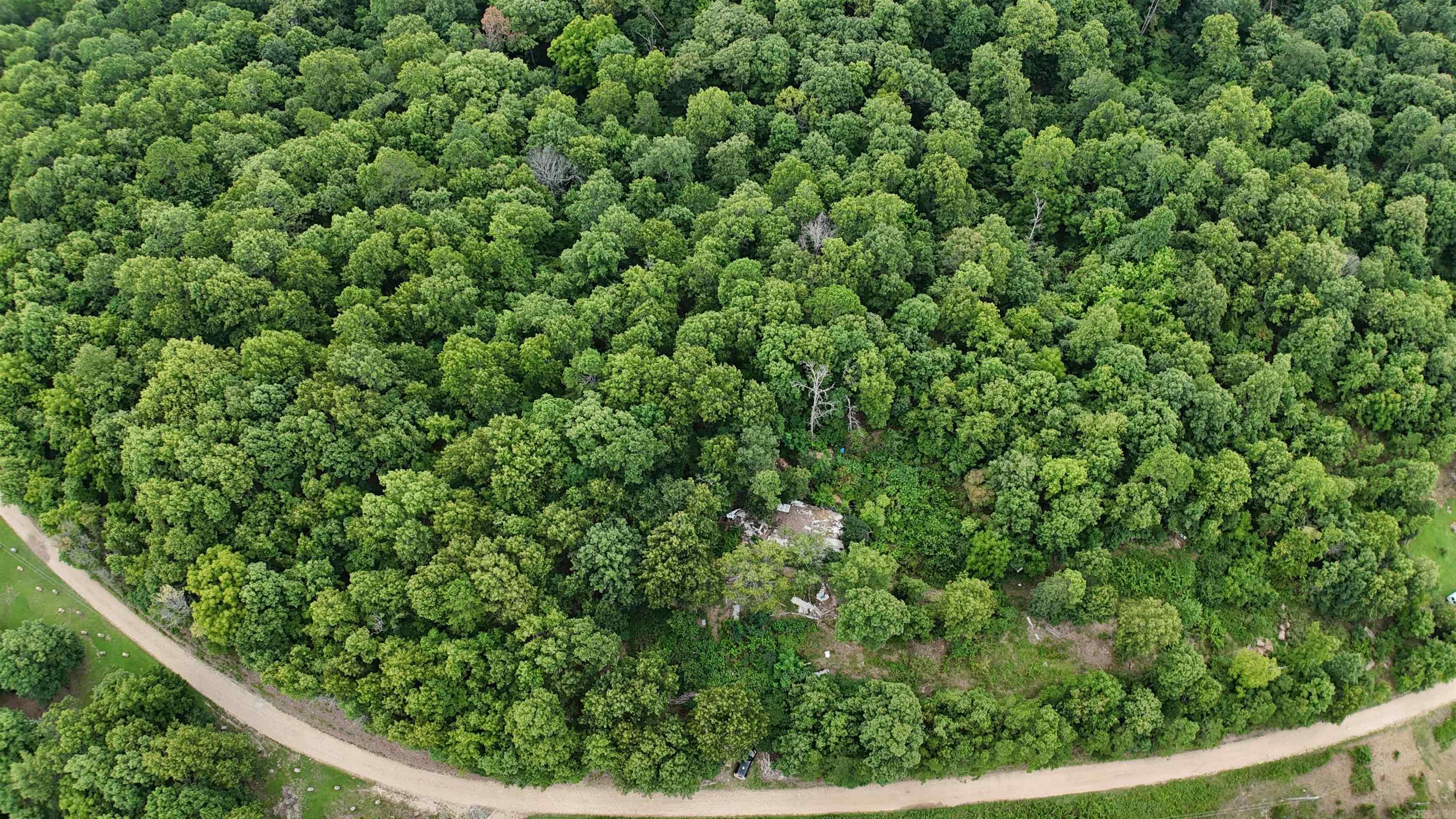 1267 Brushy Fork  Yellville, AR