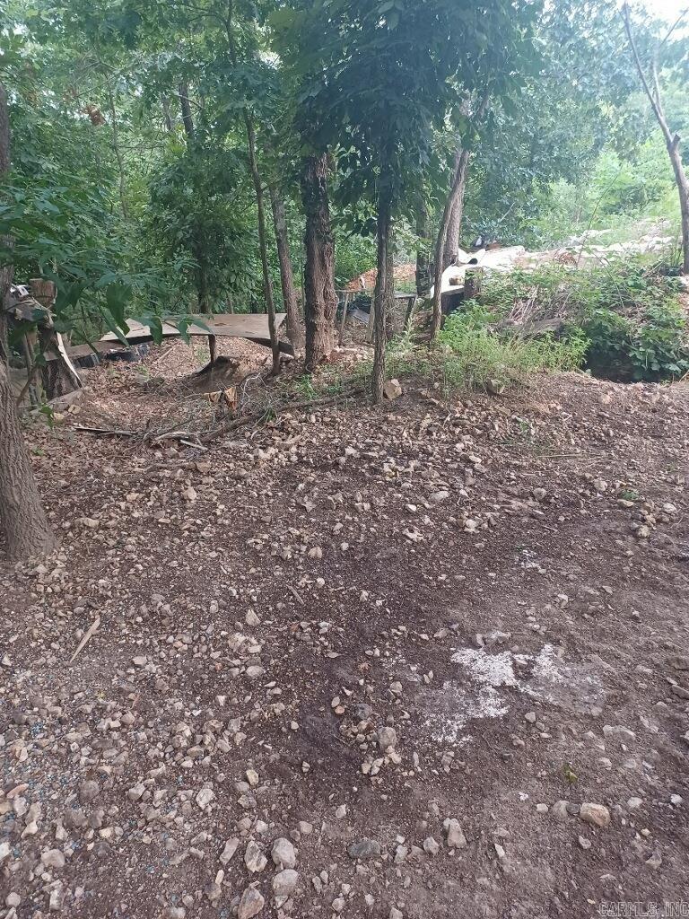 1267 Brushy Fork  Yellville, AR
