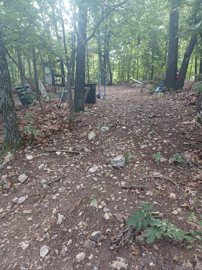 1267 Brushy Fork  Yellville, AR