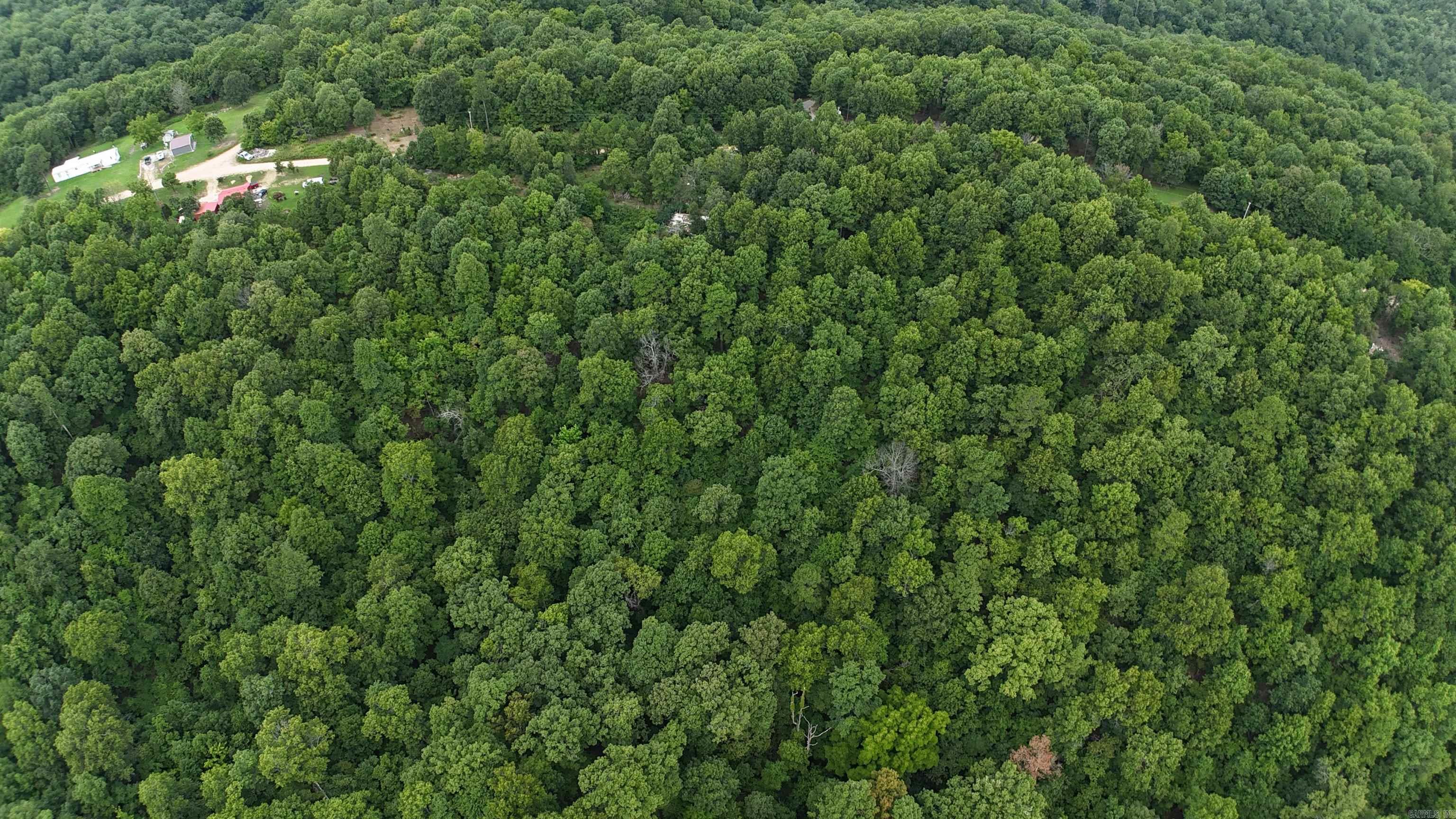 1267 Brushy Fork  Yellville, AR