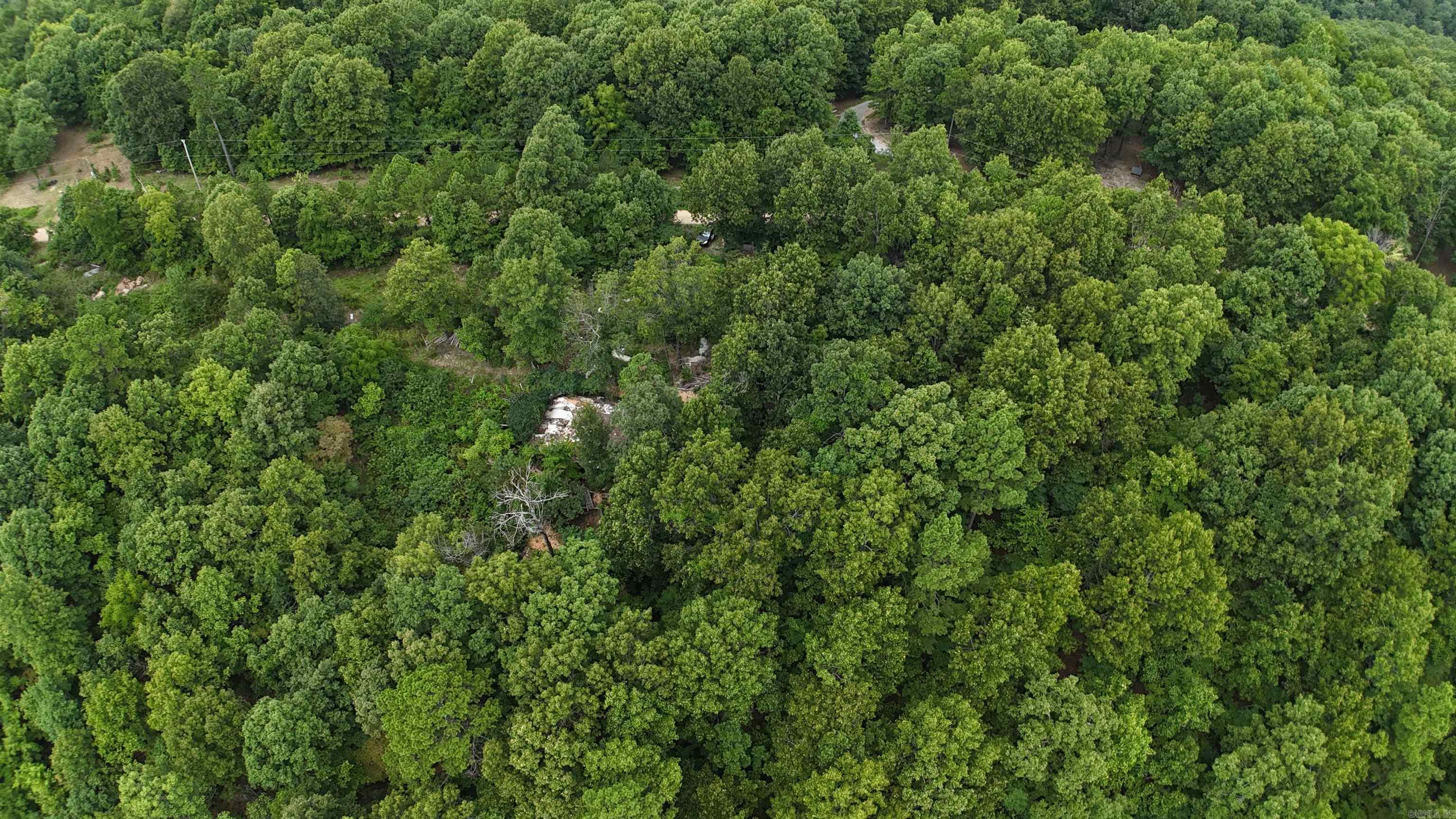 1267 Brushy Fork  Yellville, AR
