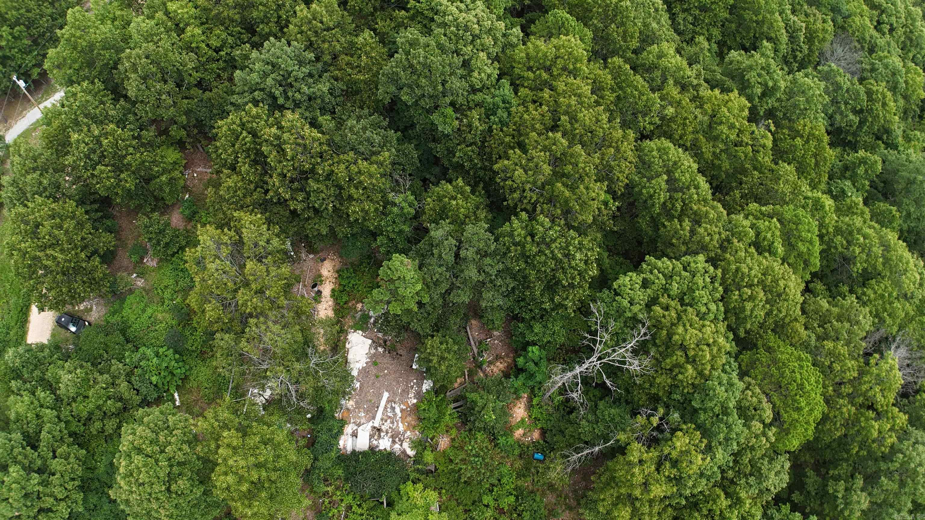1267 Brushy Fork  Yellville, AR