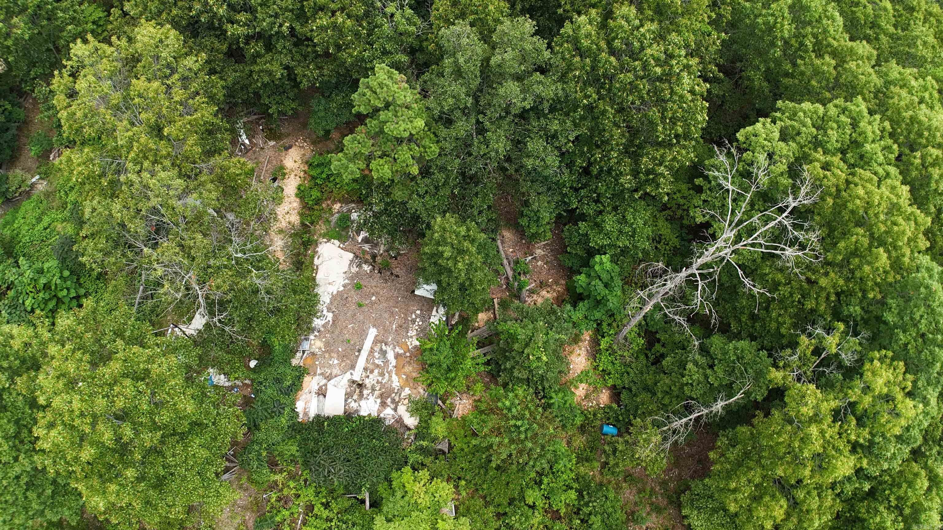 1267 Brushy Fork  Yellville, AR