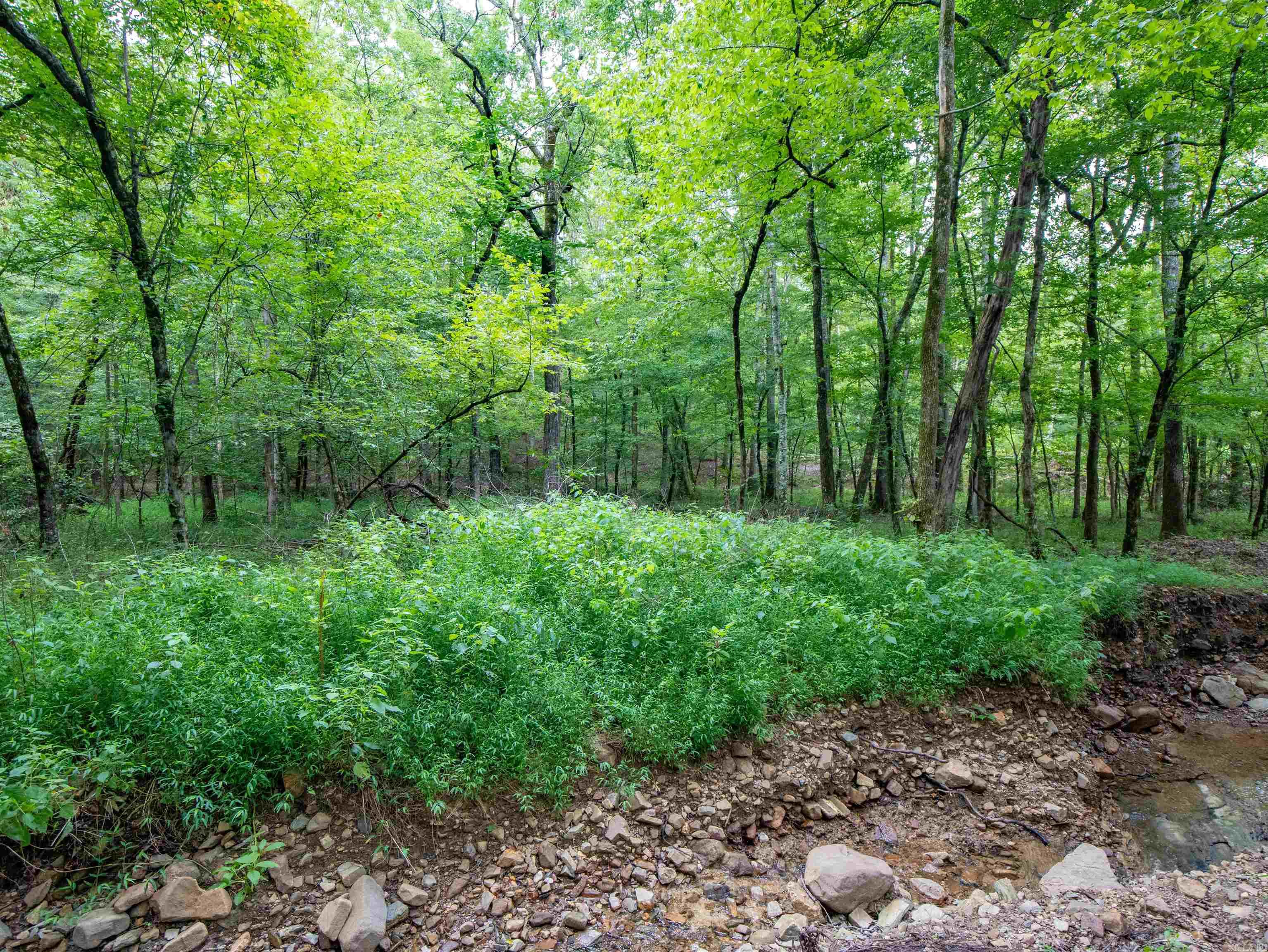 1 Camino  Hot Springs Village, AR