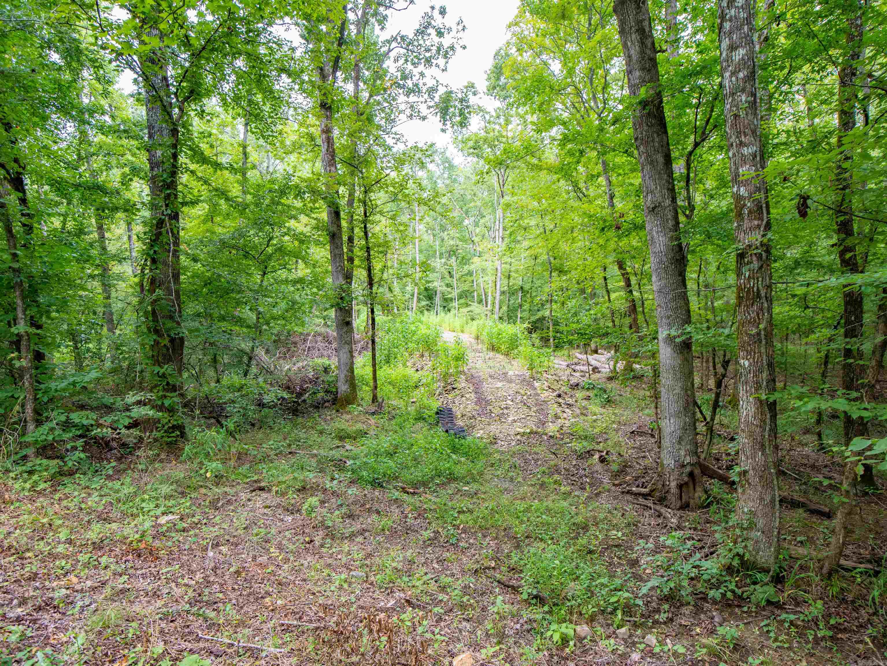 1 Camino  Hot Springs Village, AR