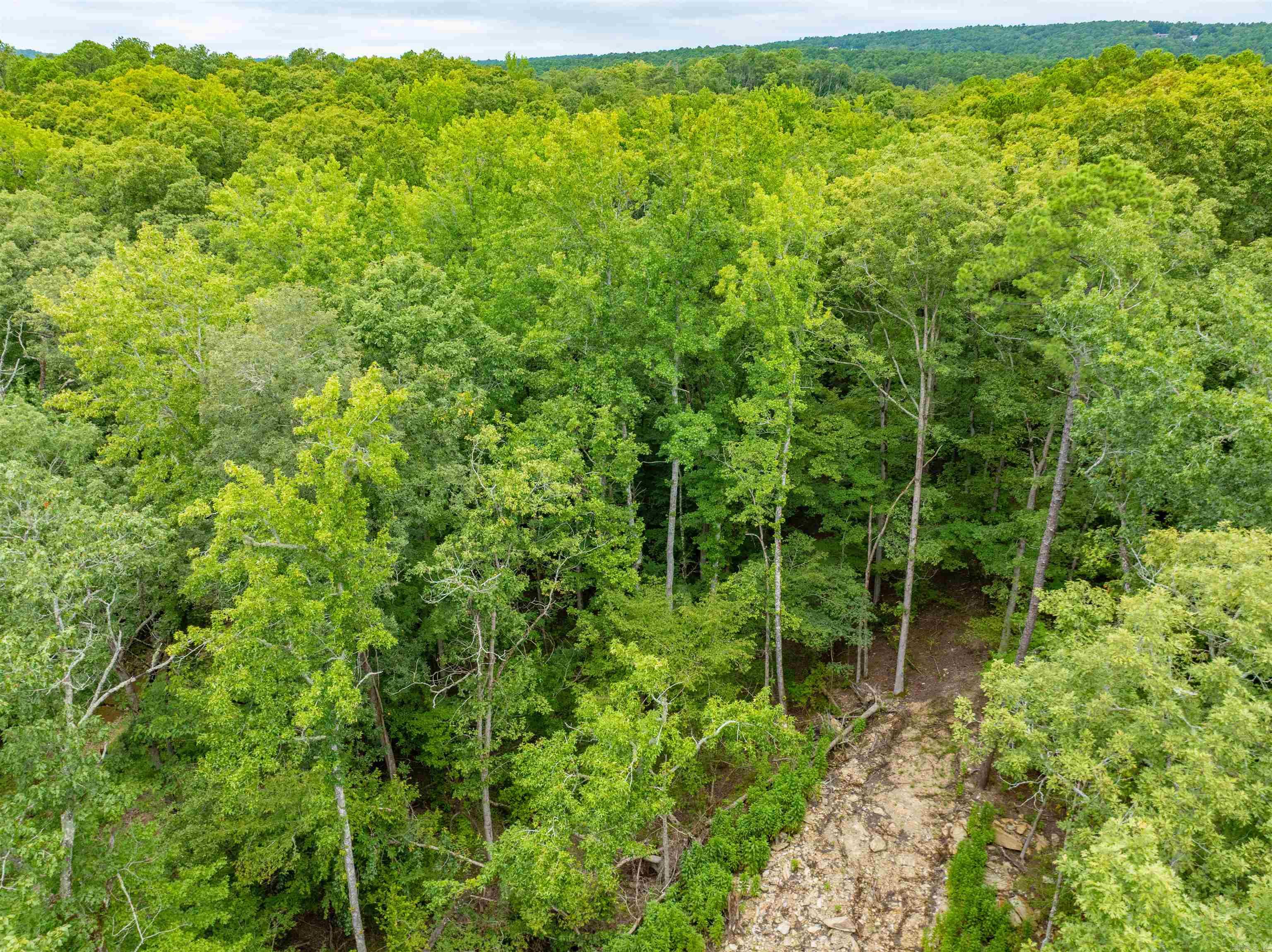 1 Camino  Hot Springs Village, AR