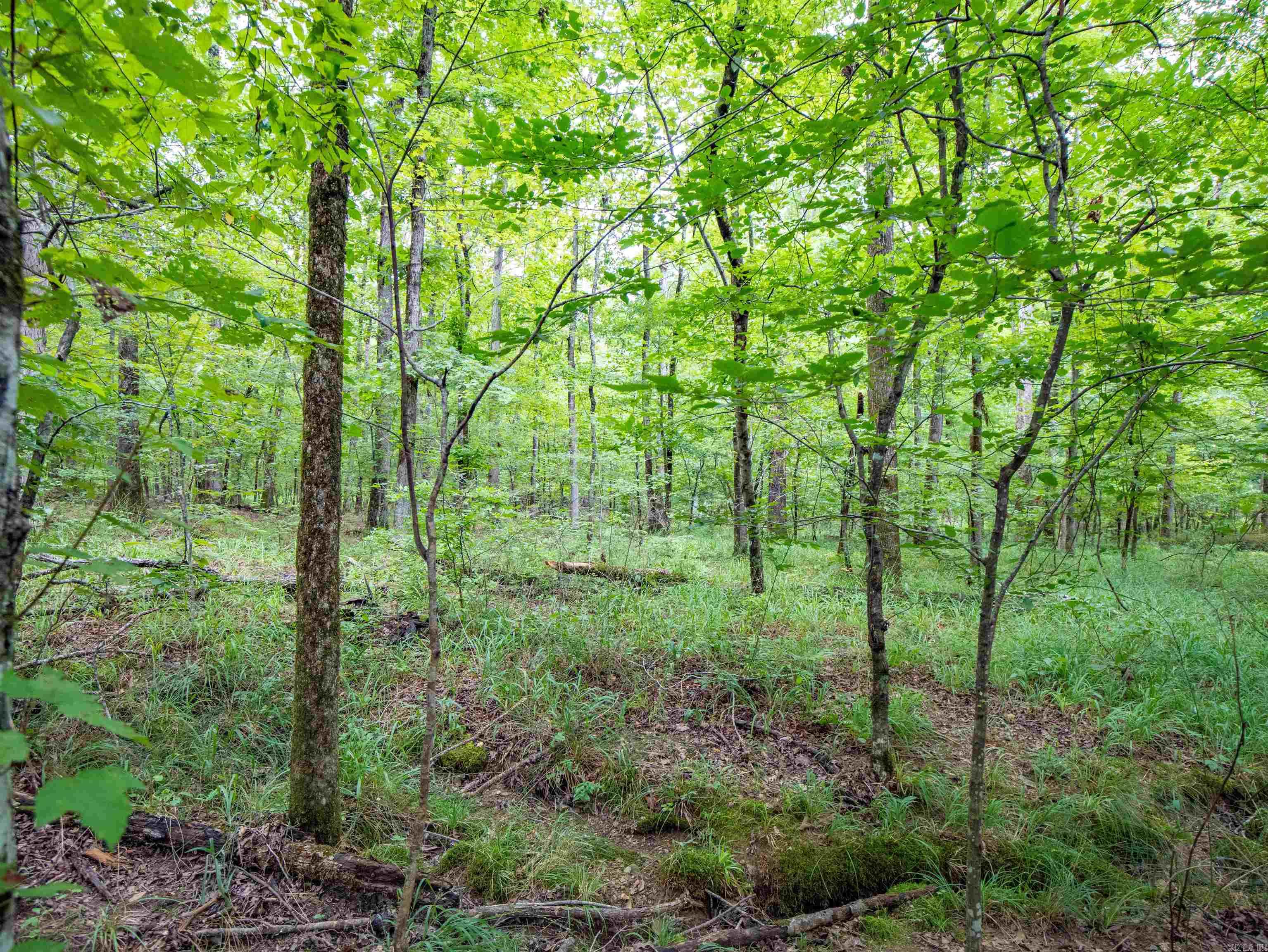 1 Camino  Hot Springs Village, AR