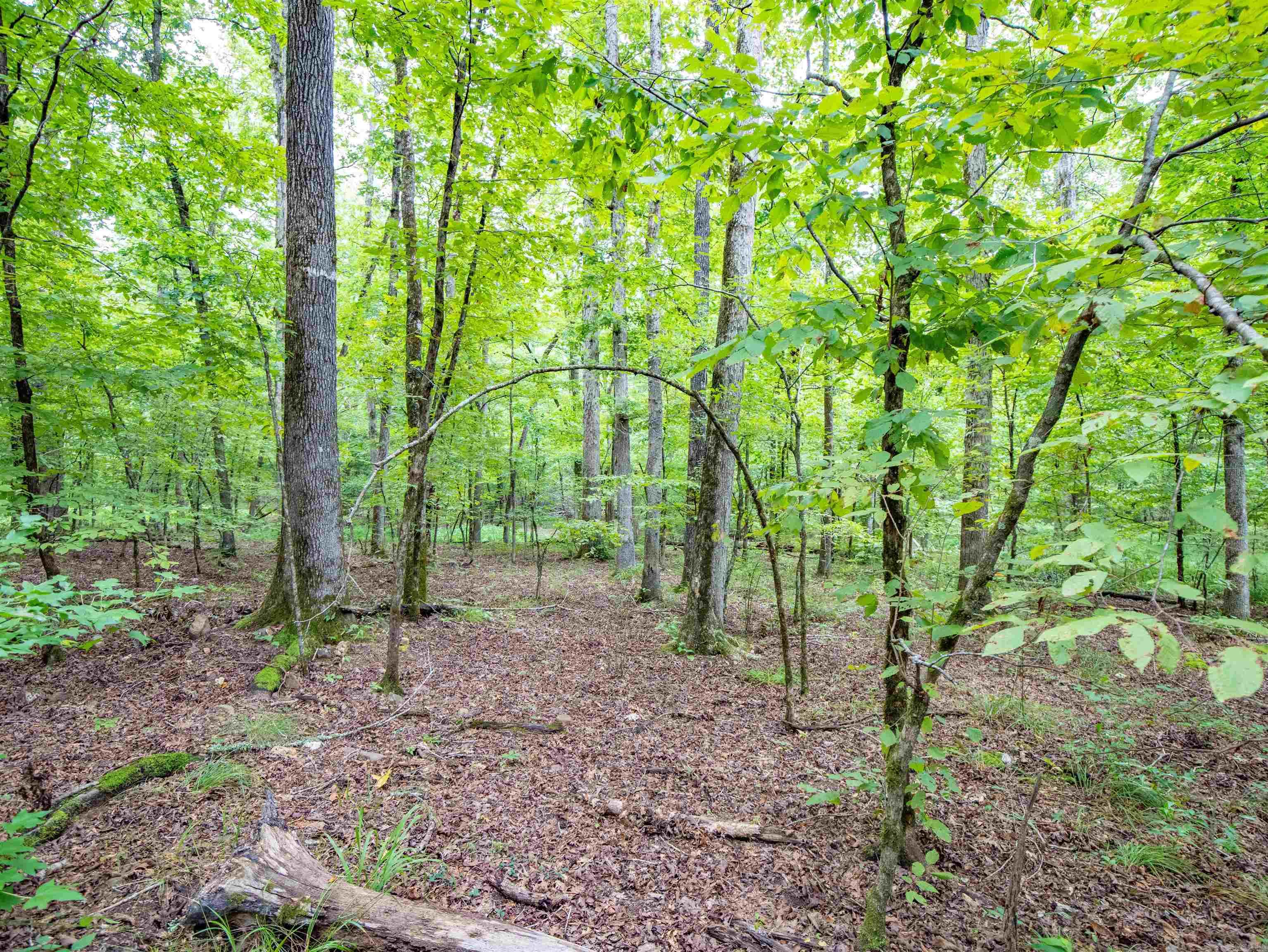 1 Camino  Hot Springs Village, AR