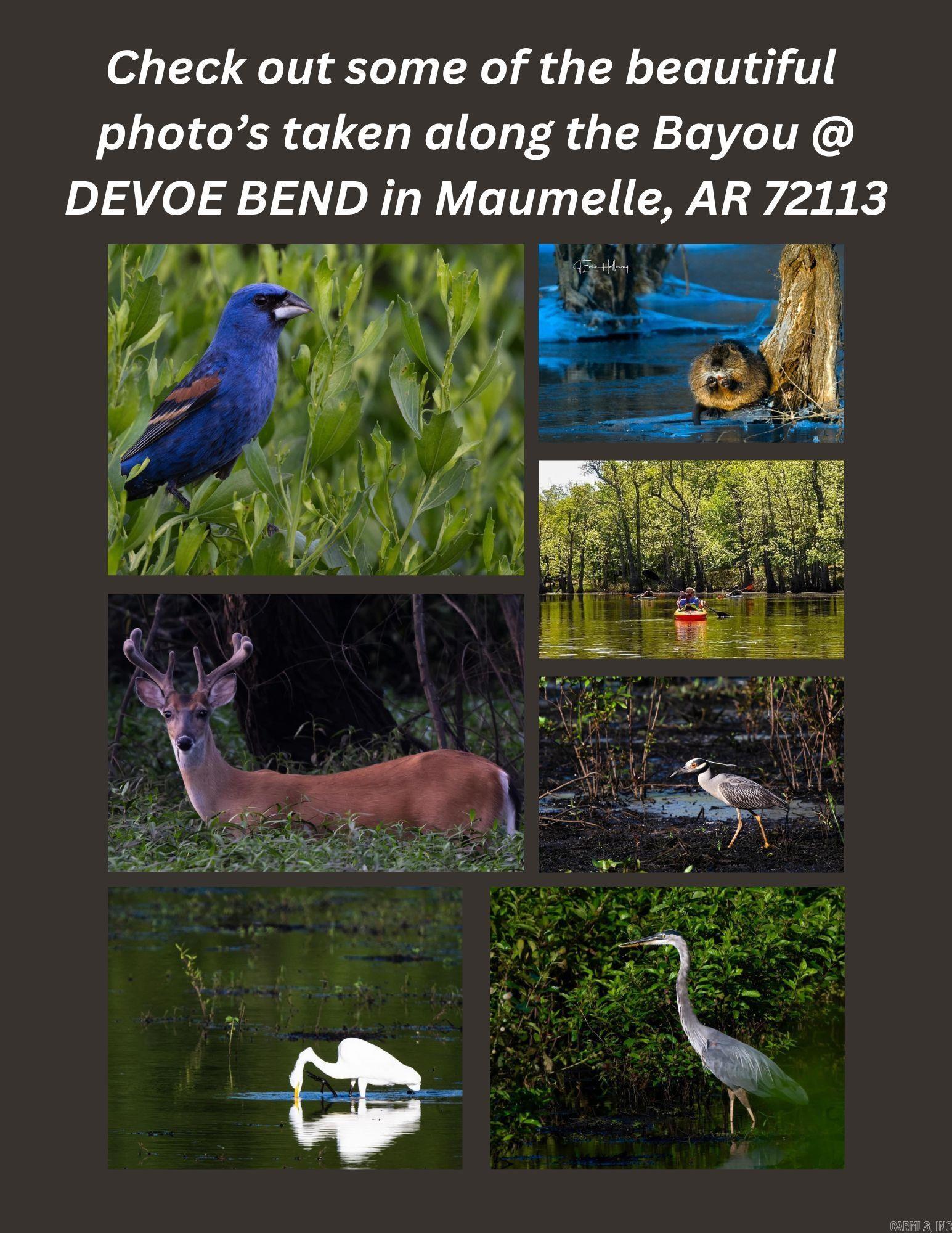 320 DEVOE BEND DRIVE  Maumelle, AR