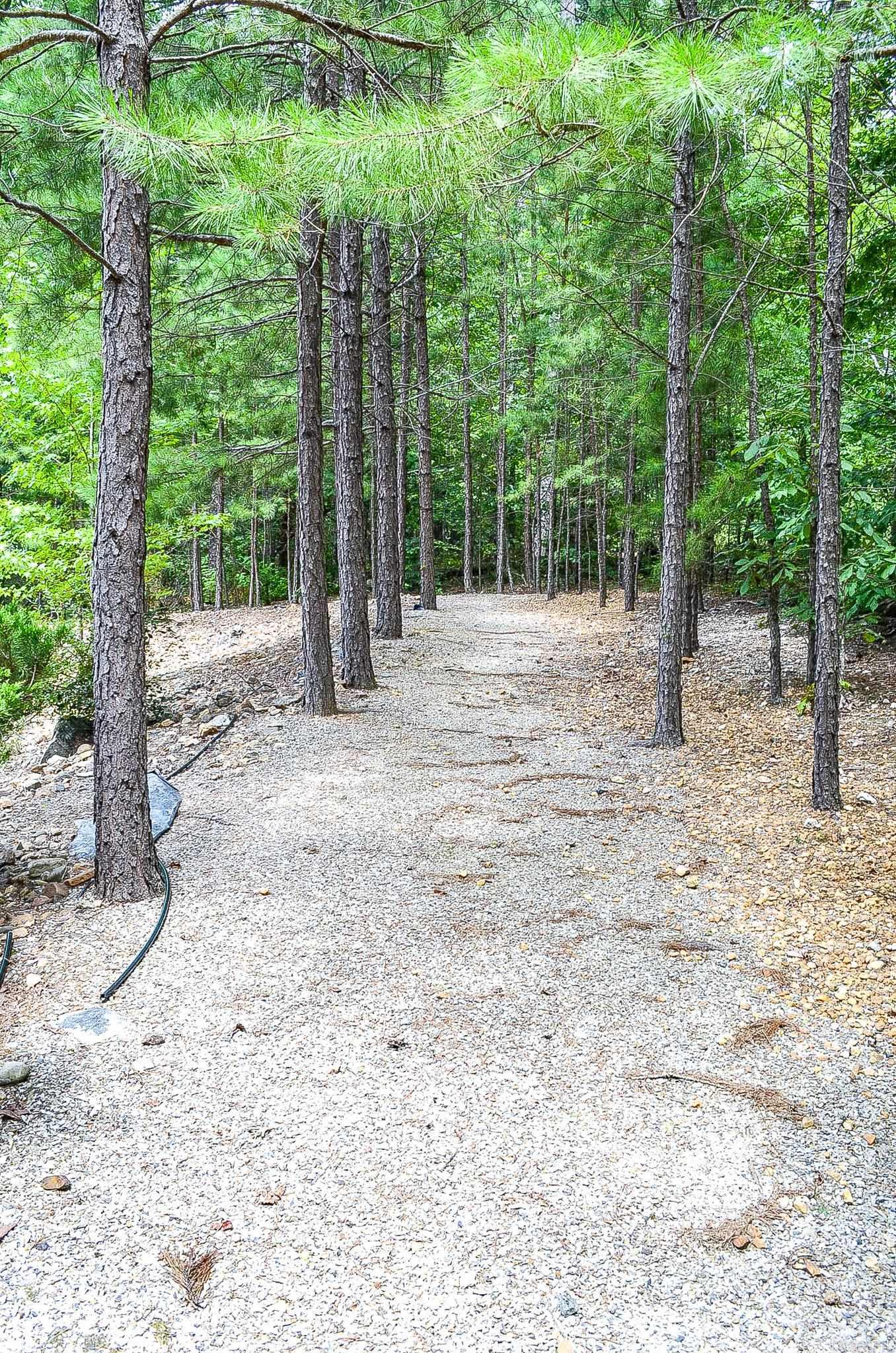 60 Calderon  Hot Springs Village, AR