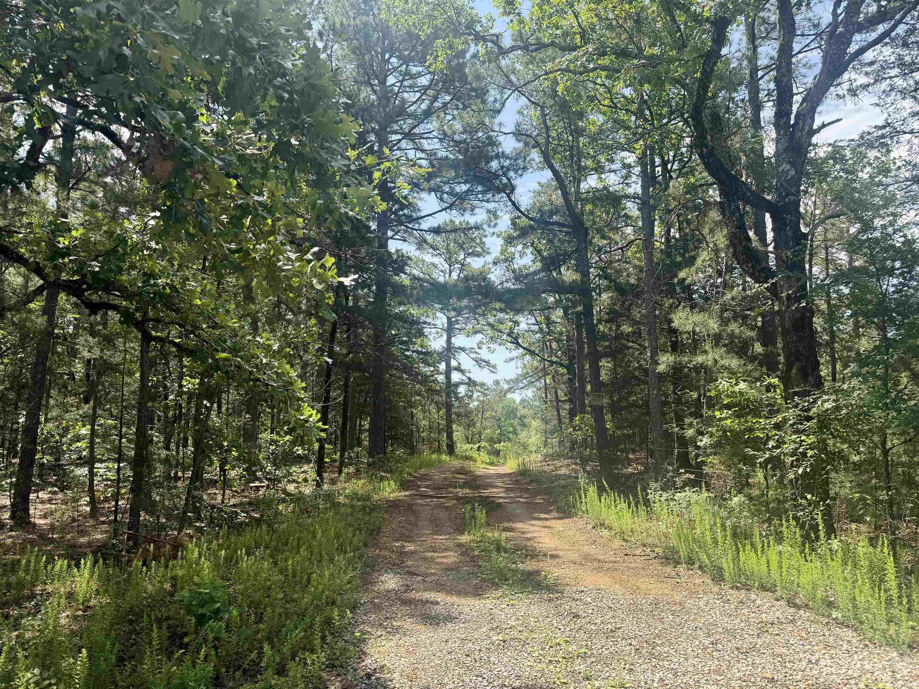 001-01049-000 CR 128  Calico Rock, AR