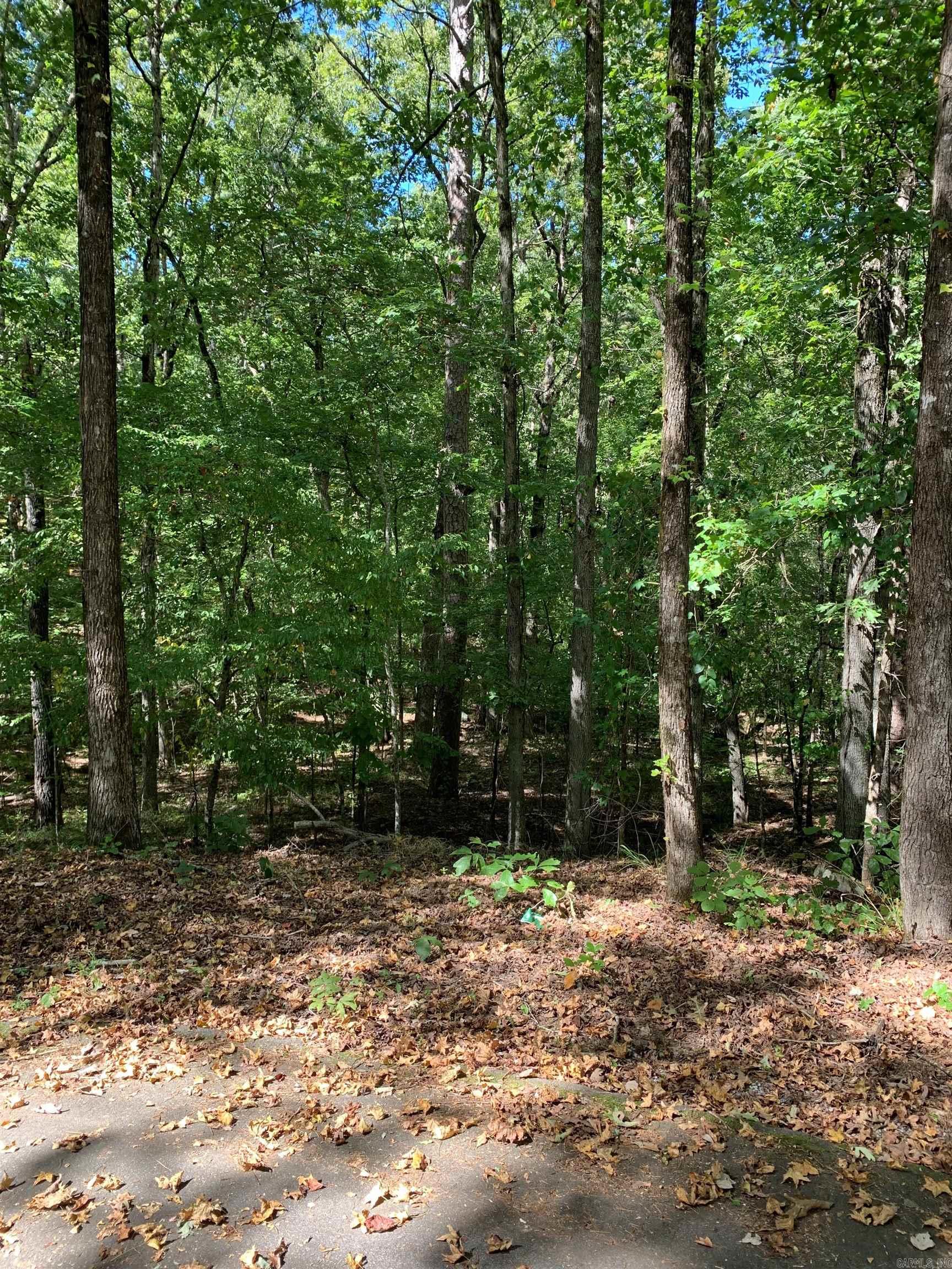 26 Raton Ln  Hot Springs Village, AR