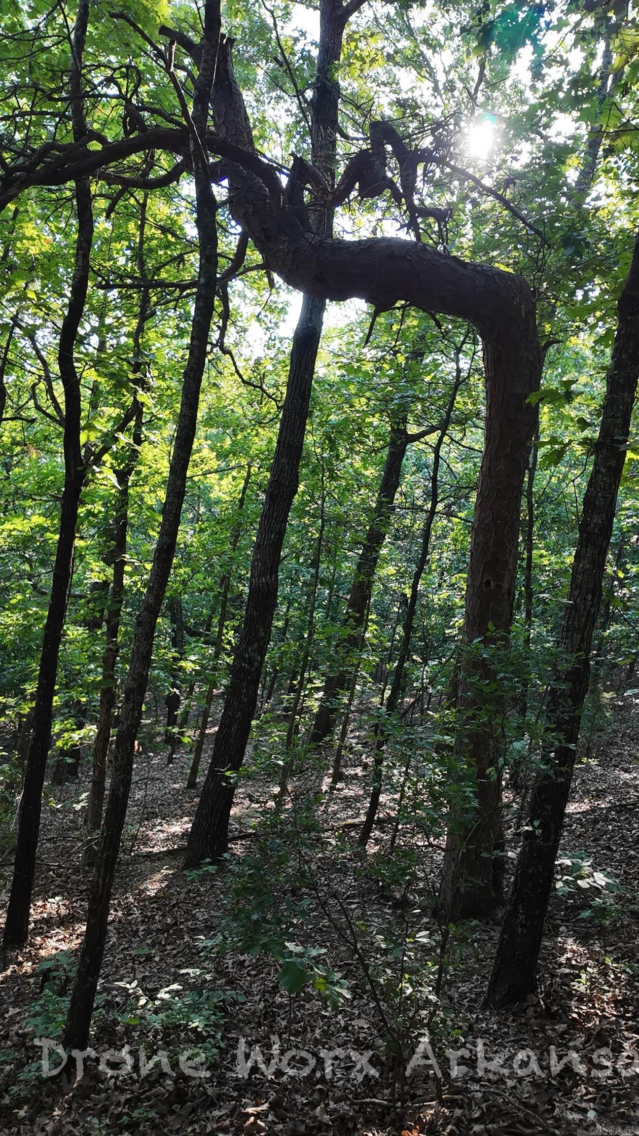 358 Dawn Light Drive Western Grove, AR 72685