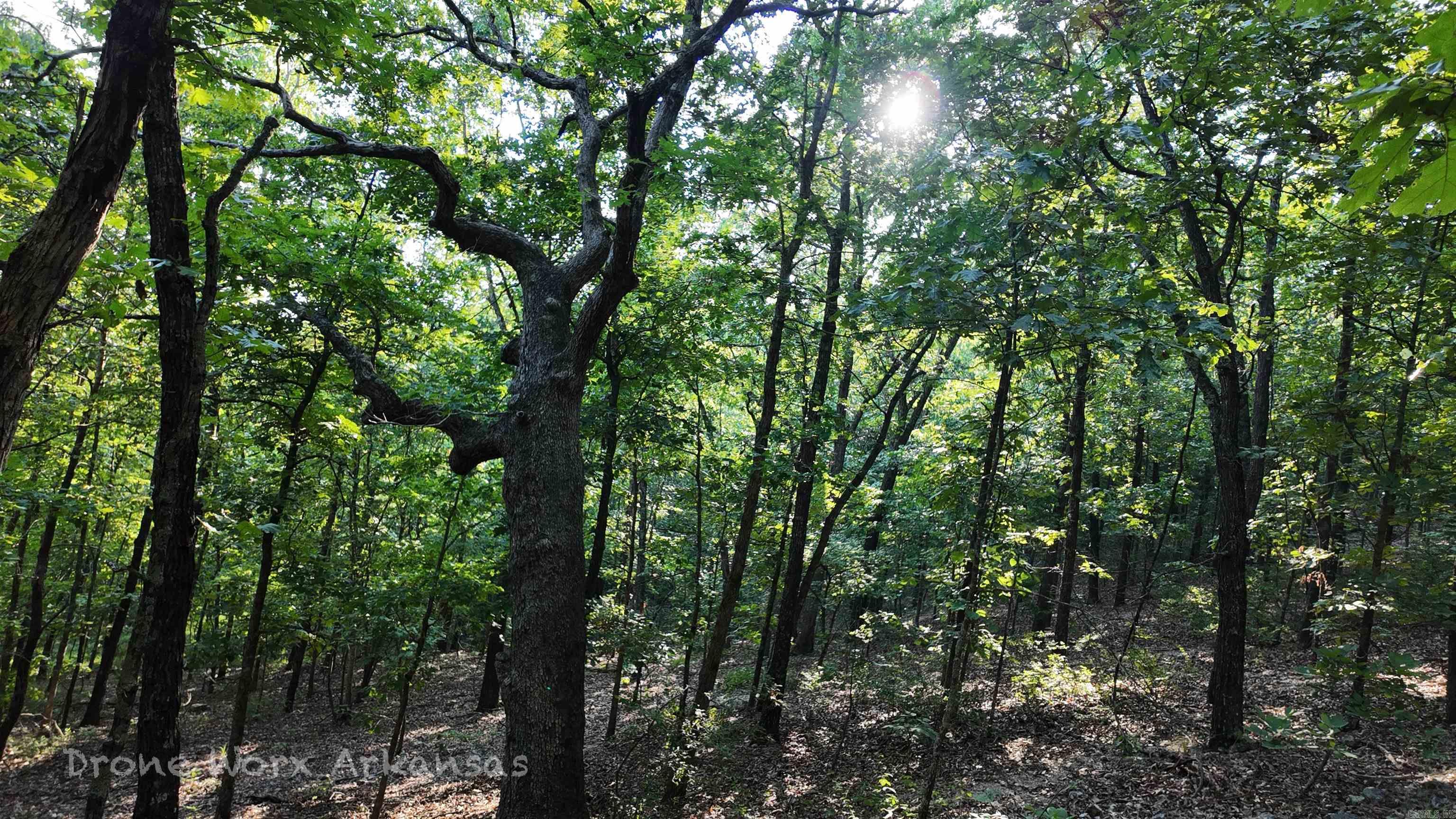 358 Dawn Light Drive Western Grove, AR 72685