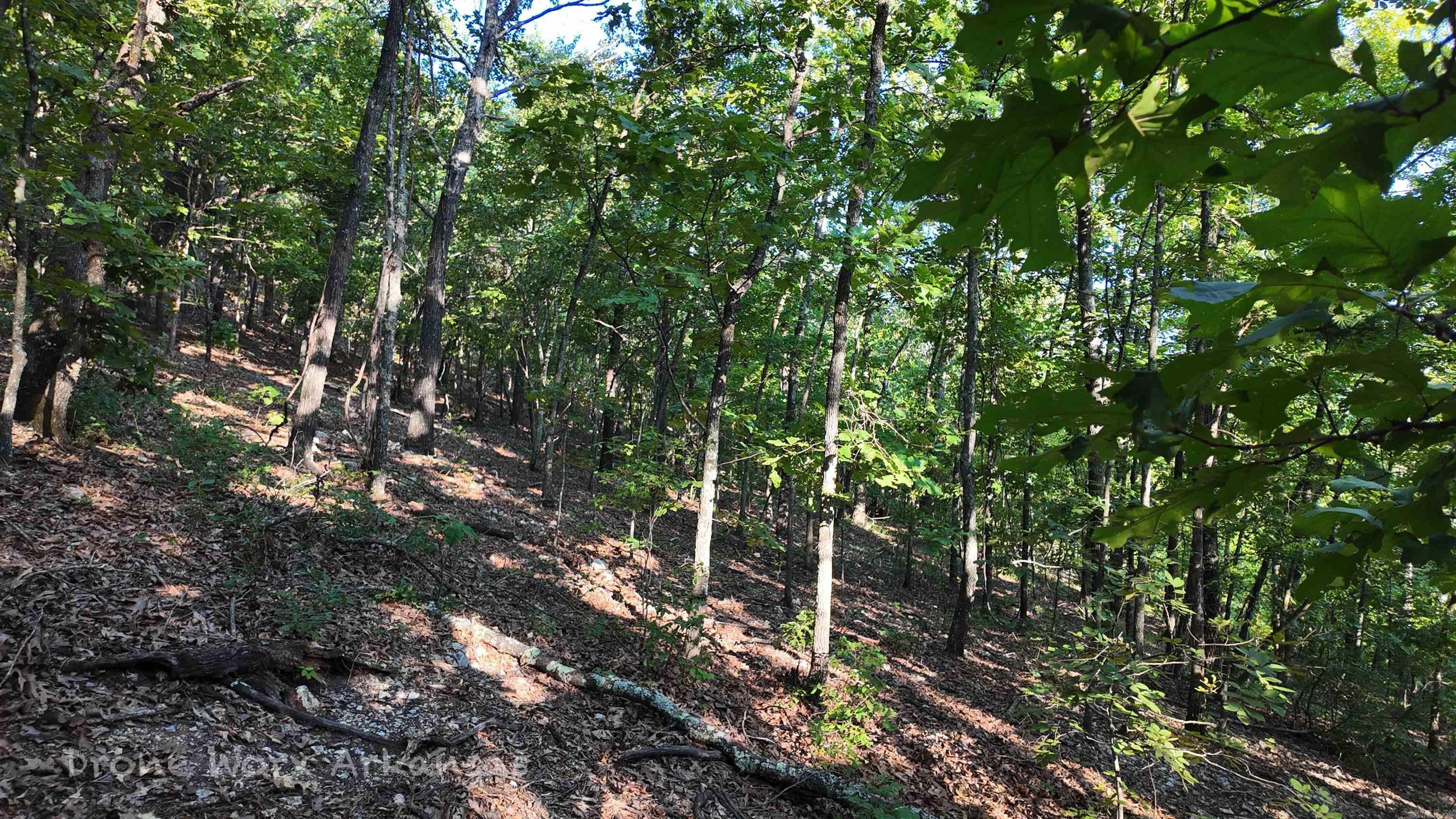 358 Dawn Light Drive Western Grove, AR 72685