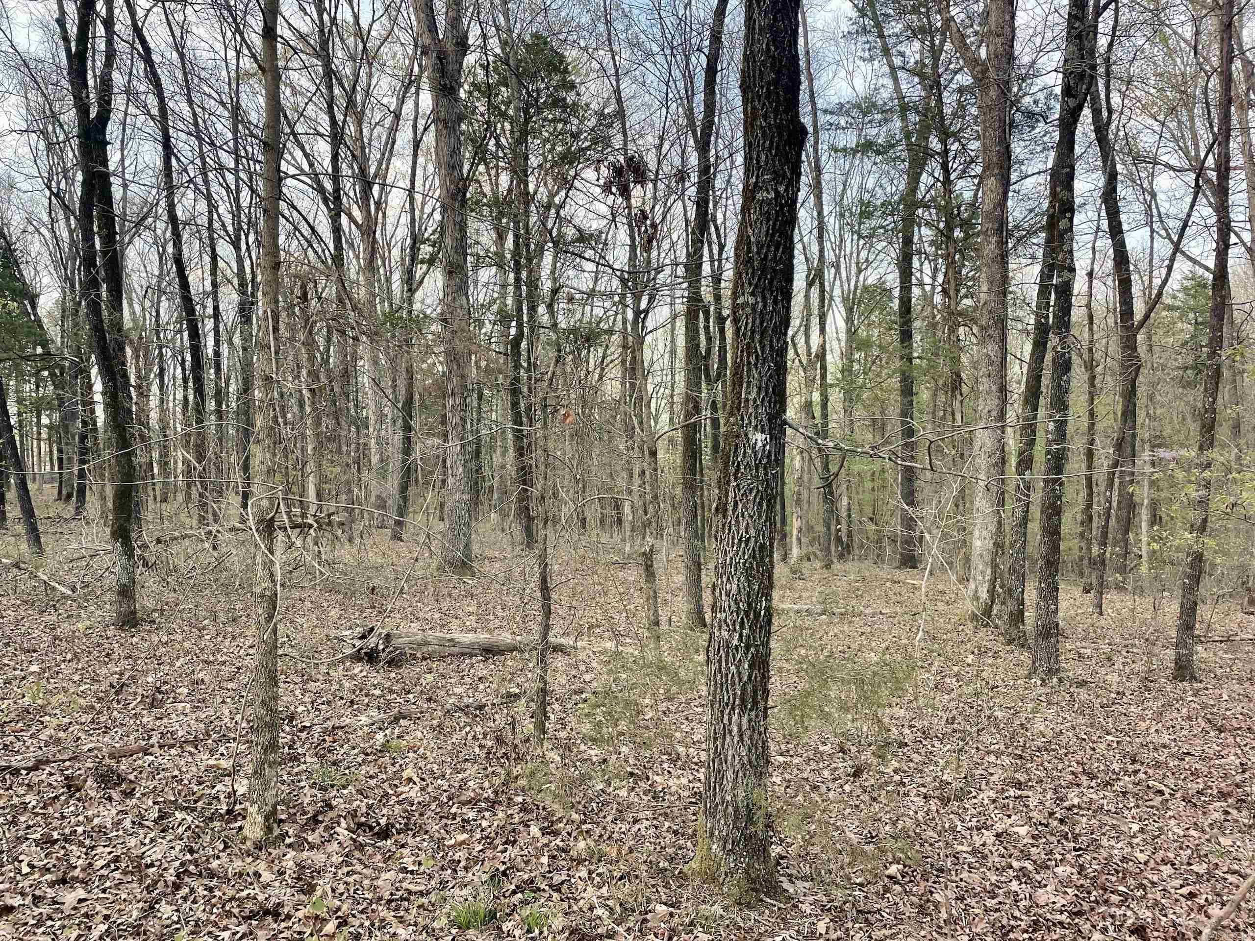 000 Trout Way  Judsonia, AR