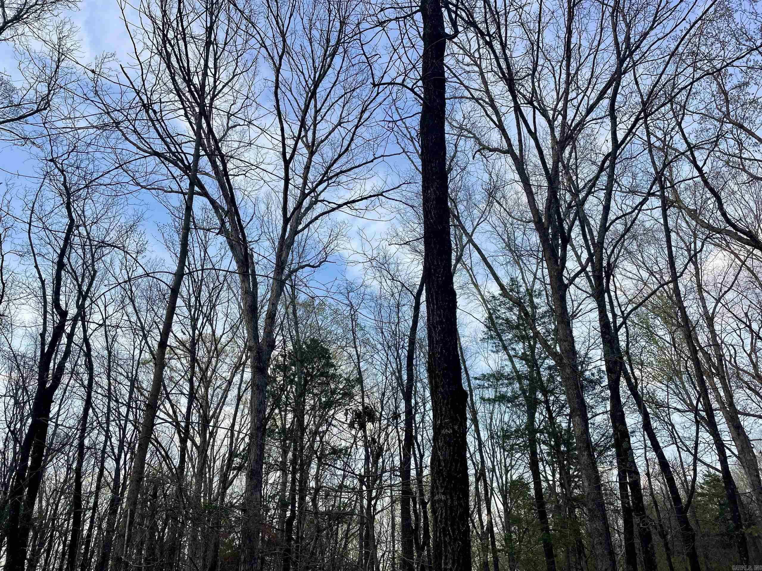 000 Trout Way  Judsonia, AR