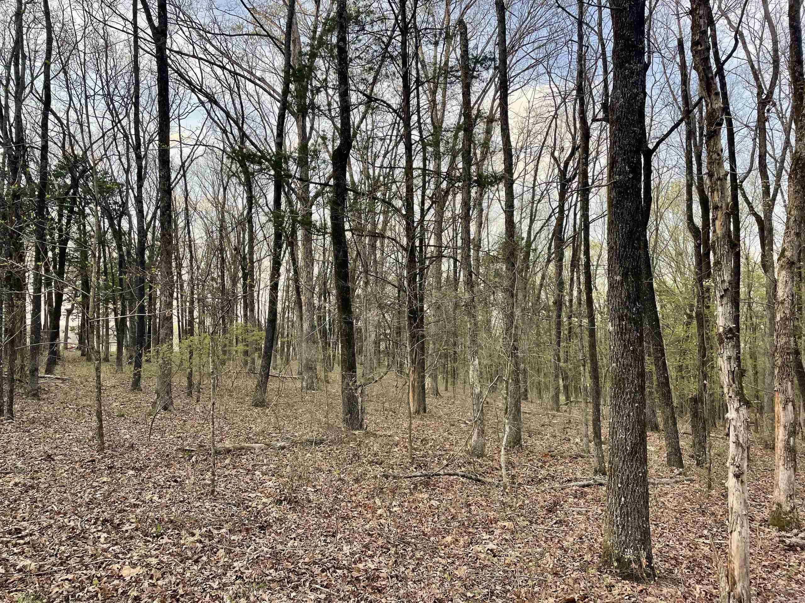 000 Trout Way  Judsonia, AR