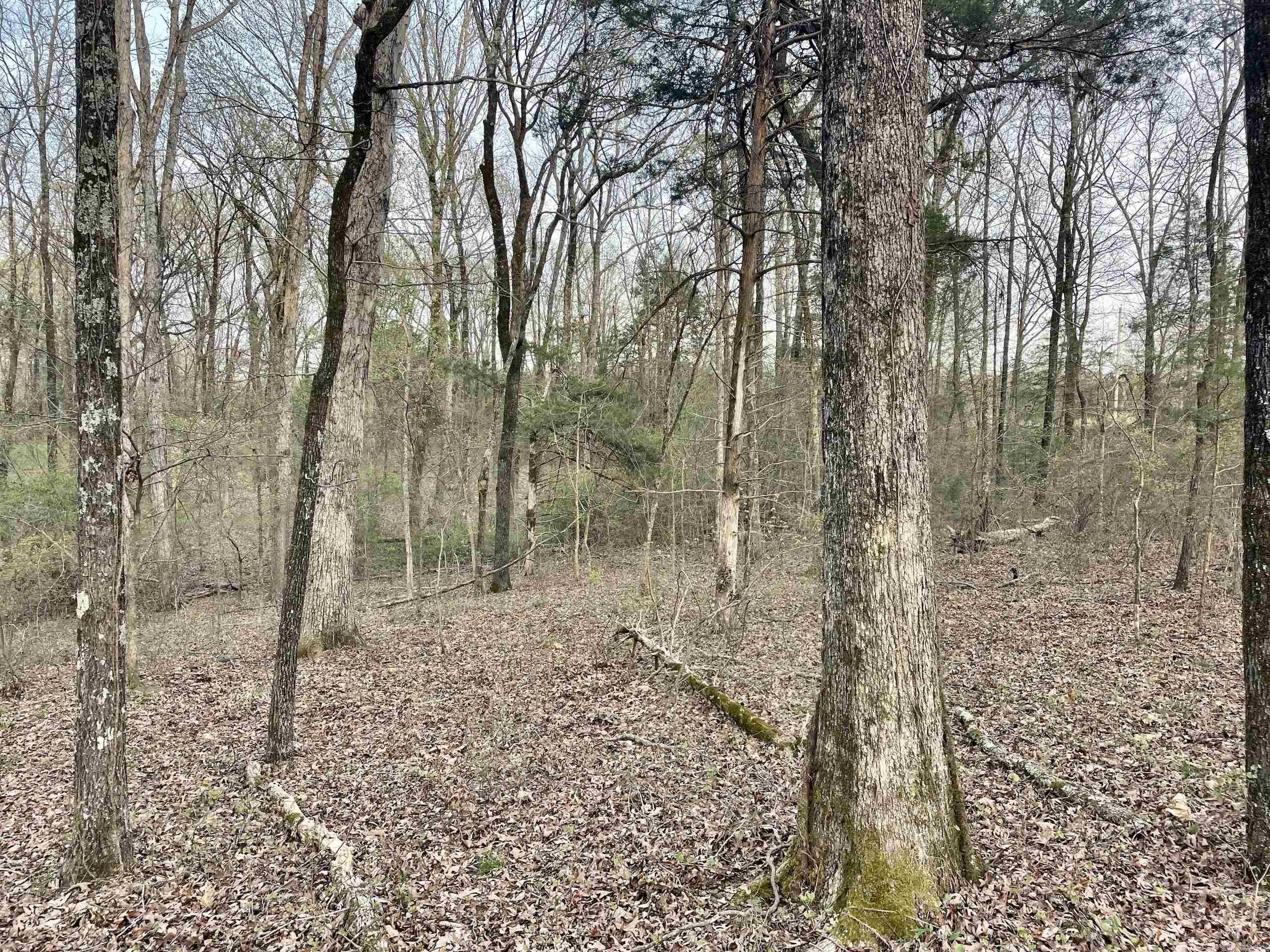 000 Trout Way  Judsonia, AR