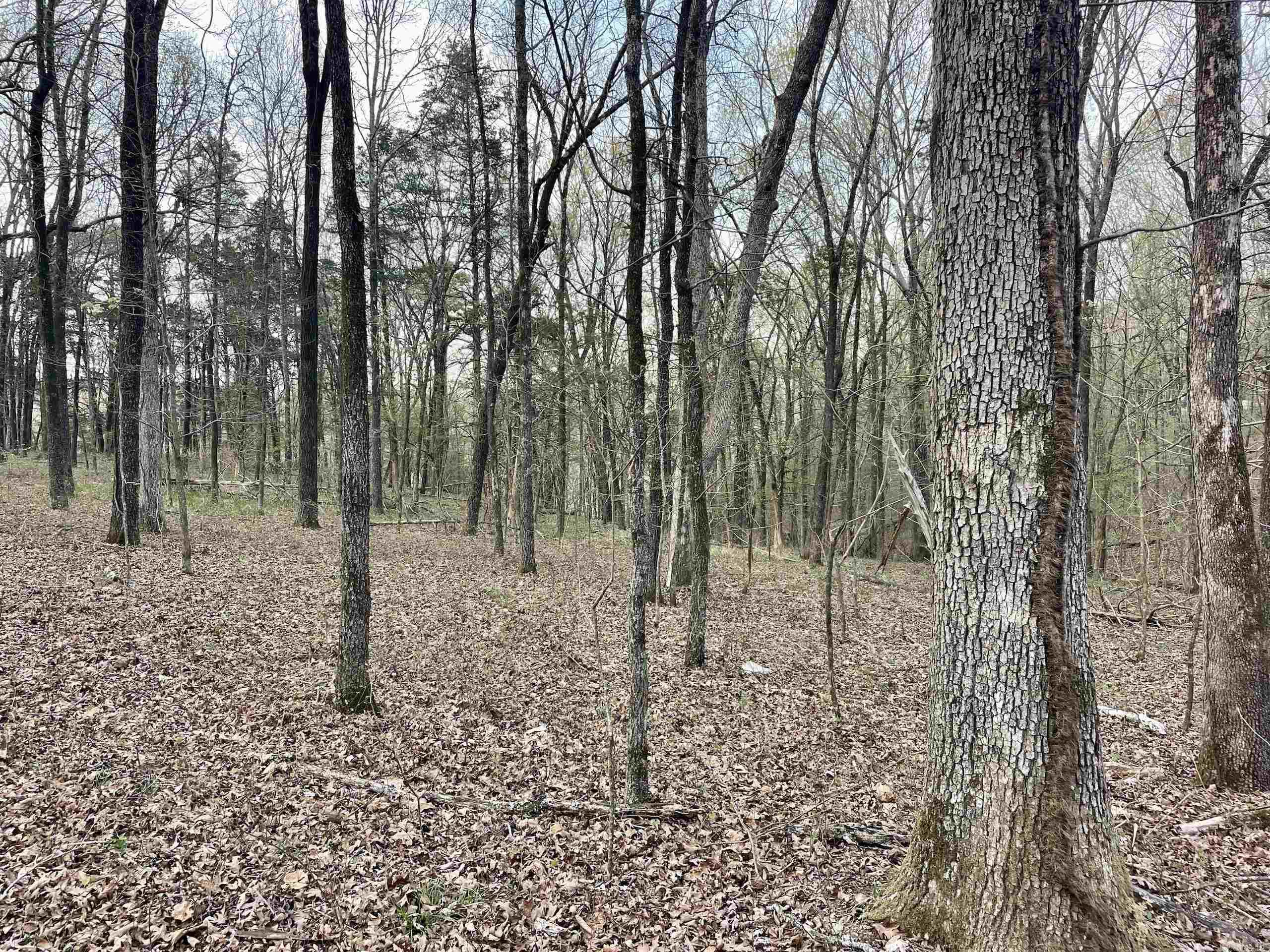 000 Trout Way  Judsonia, AR