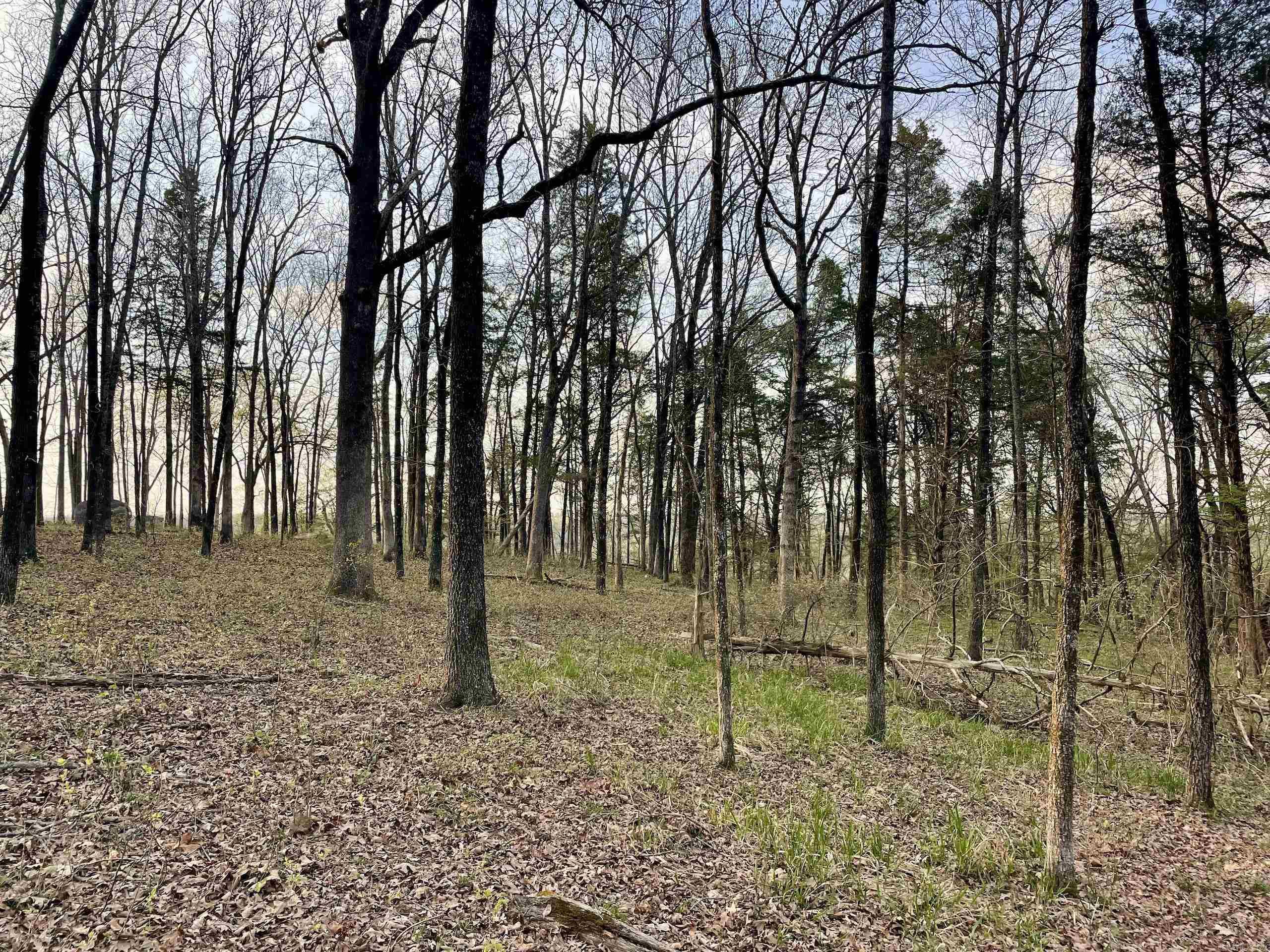 000 Trout Way  Judsonia, AR