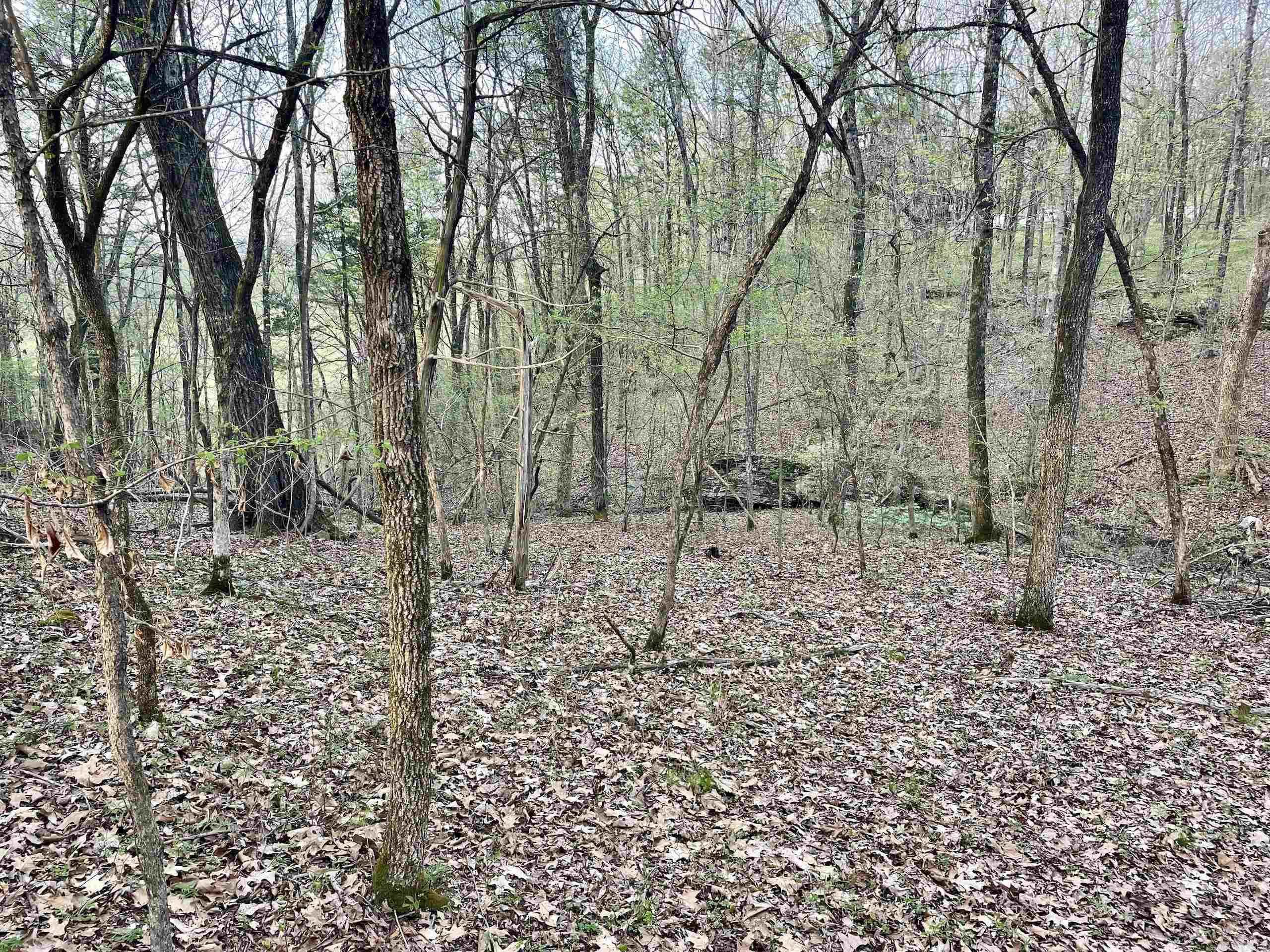 000 Trout Way  Judsonia, AR