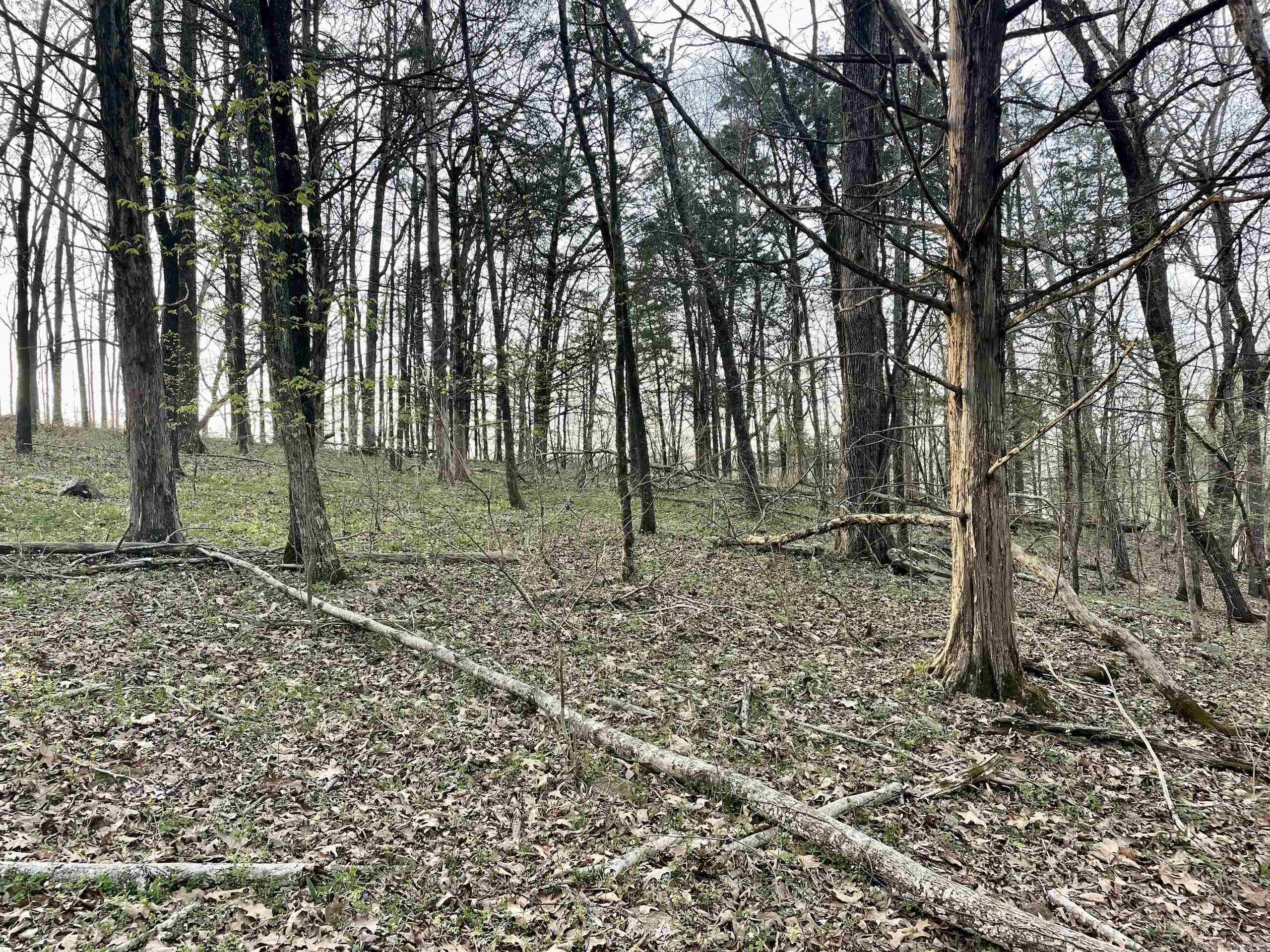 000 Trout Way  Judsonia, AR