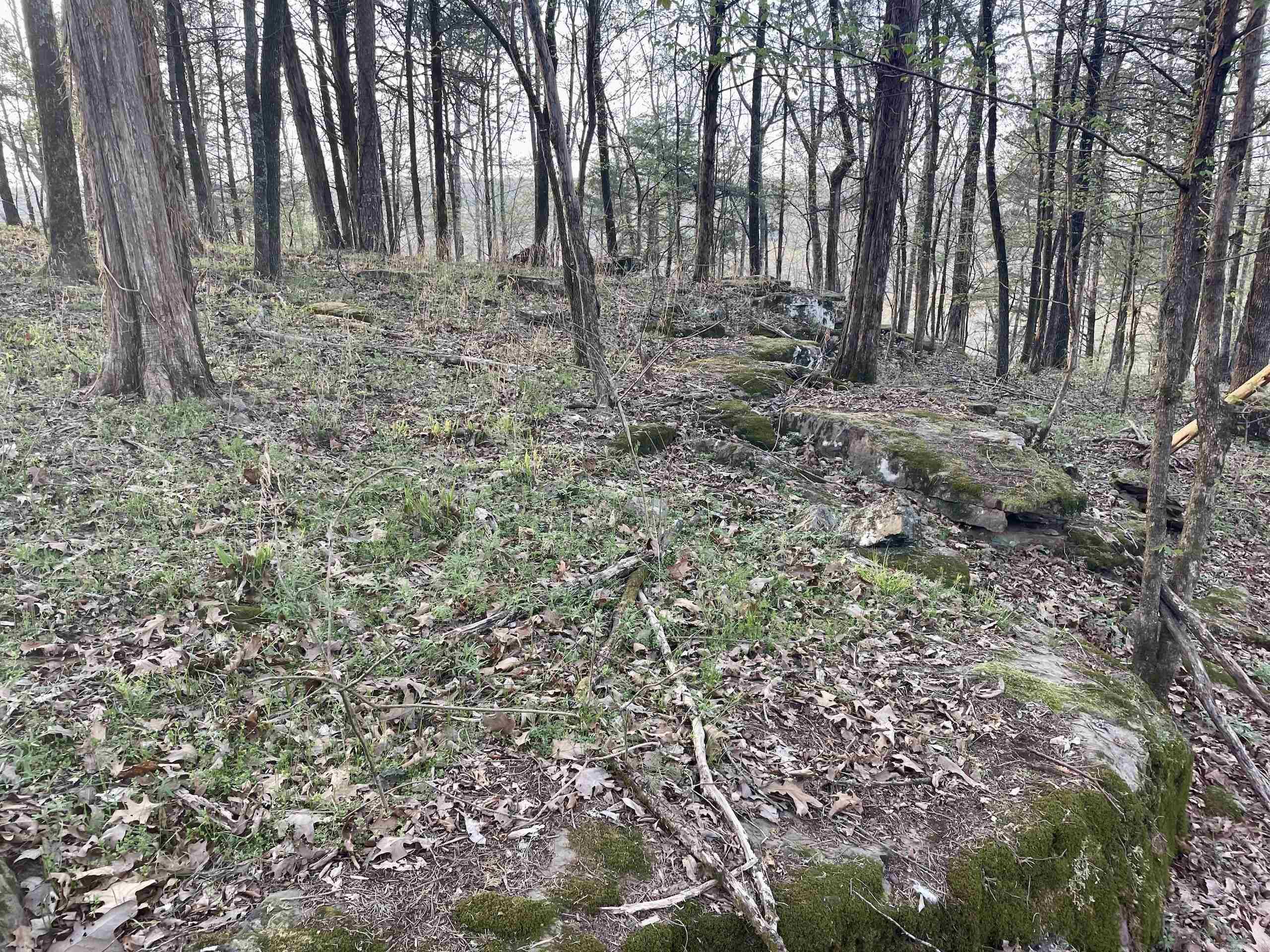 000 Trout Way  Judsonia, AR